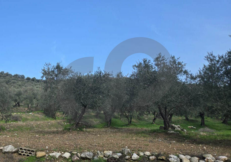 Great deal, prime location, Bezbiza, Koura — الصورة 2
