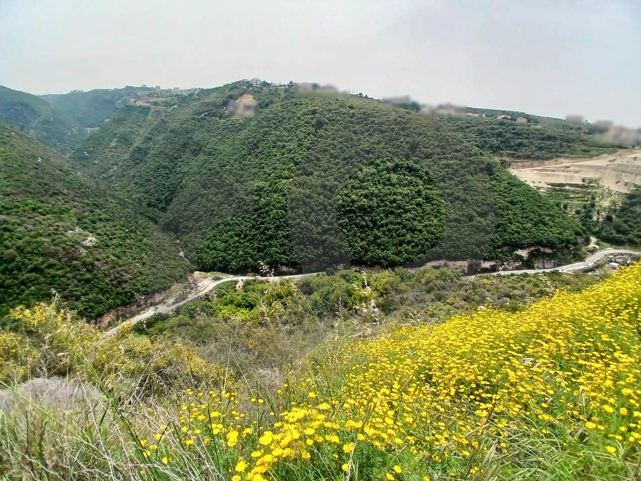 unobstructed view, Investors call, Hboub, Jbeil — photo 2