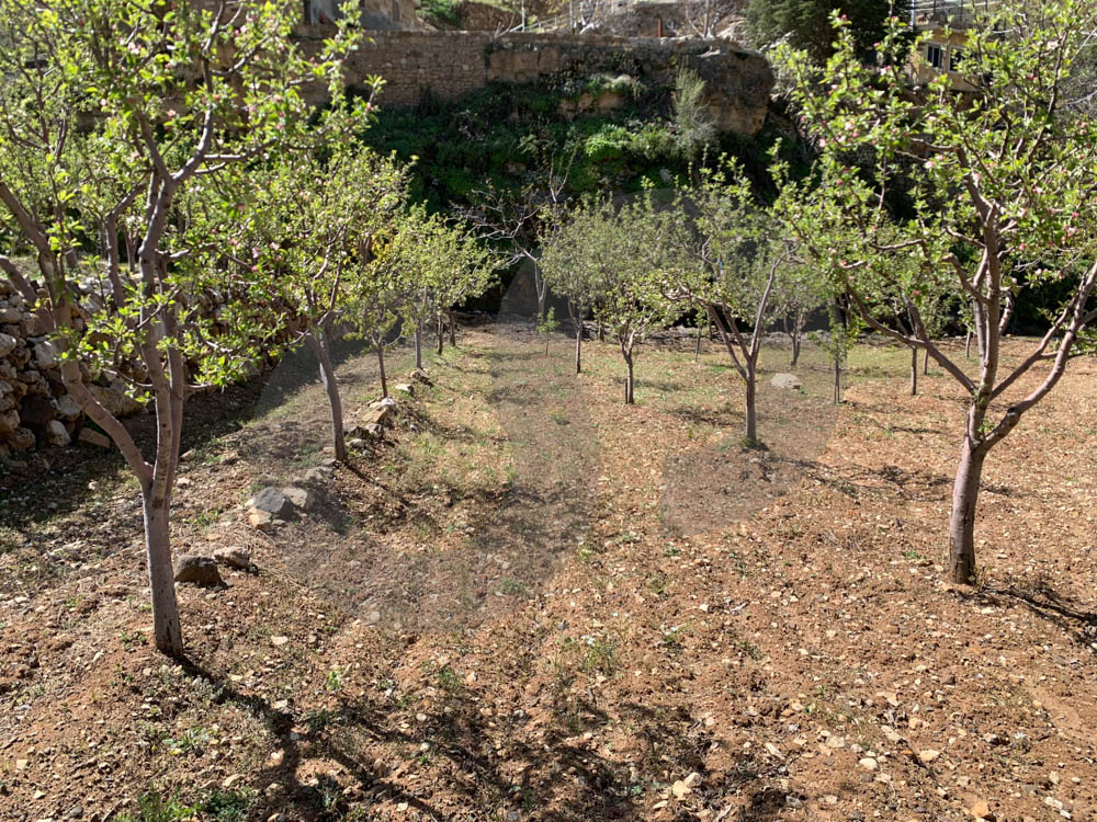 Prime location,geat deal Harissa, Tannourine — الصورة 2
