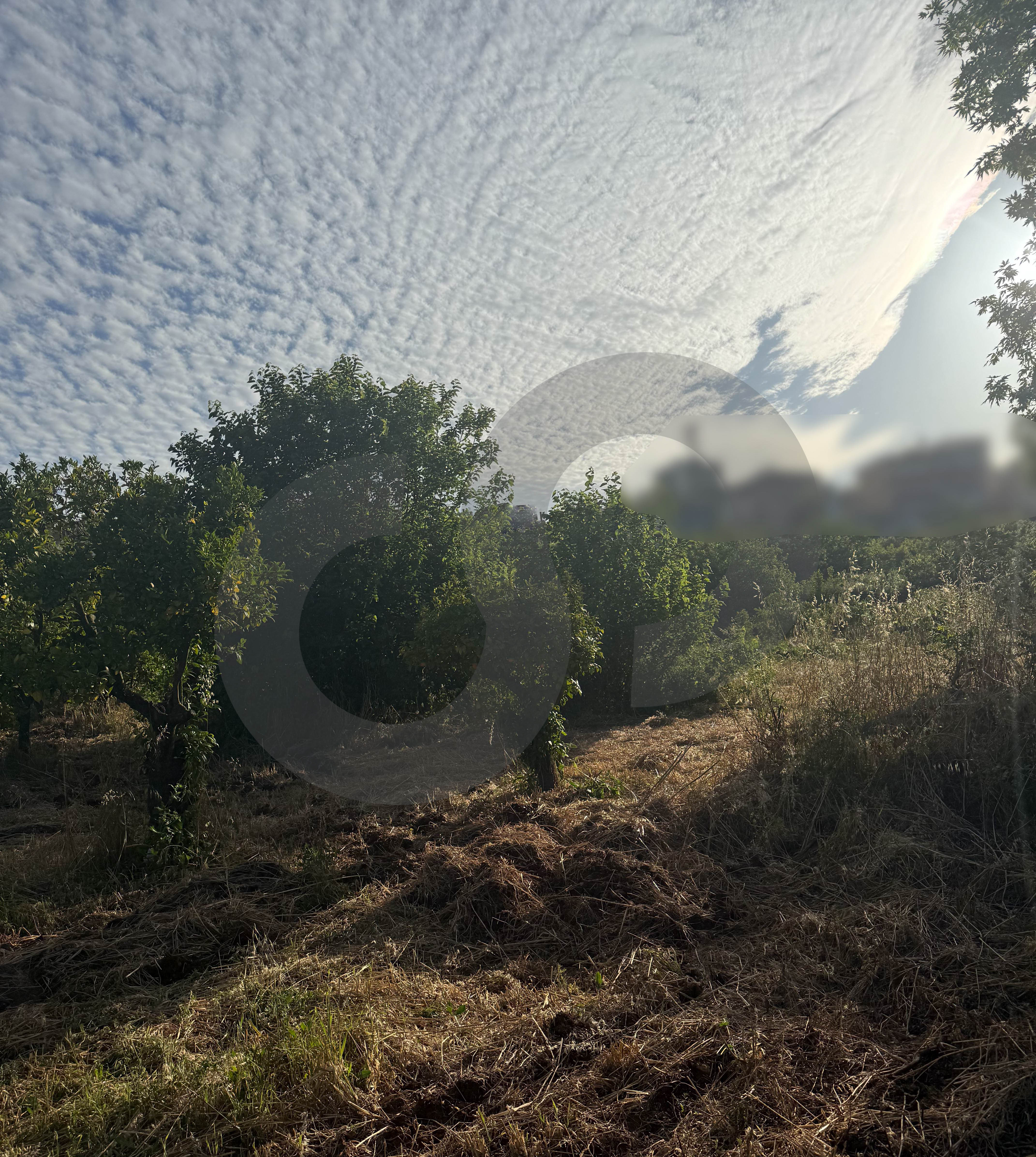 negotiable, panoramic view, zgharta — photo 2