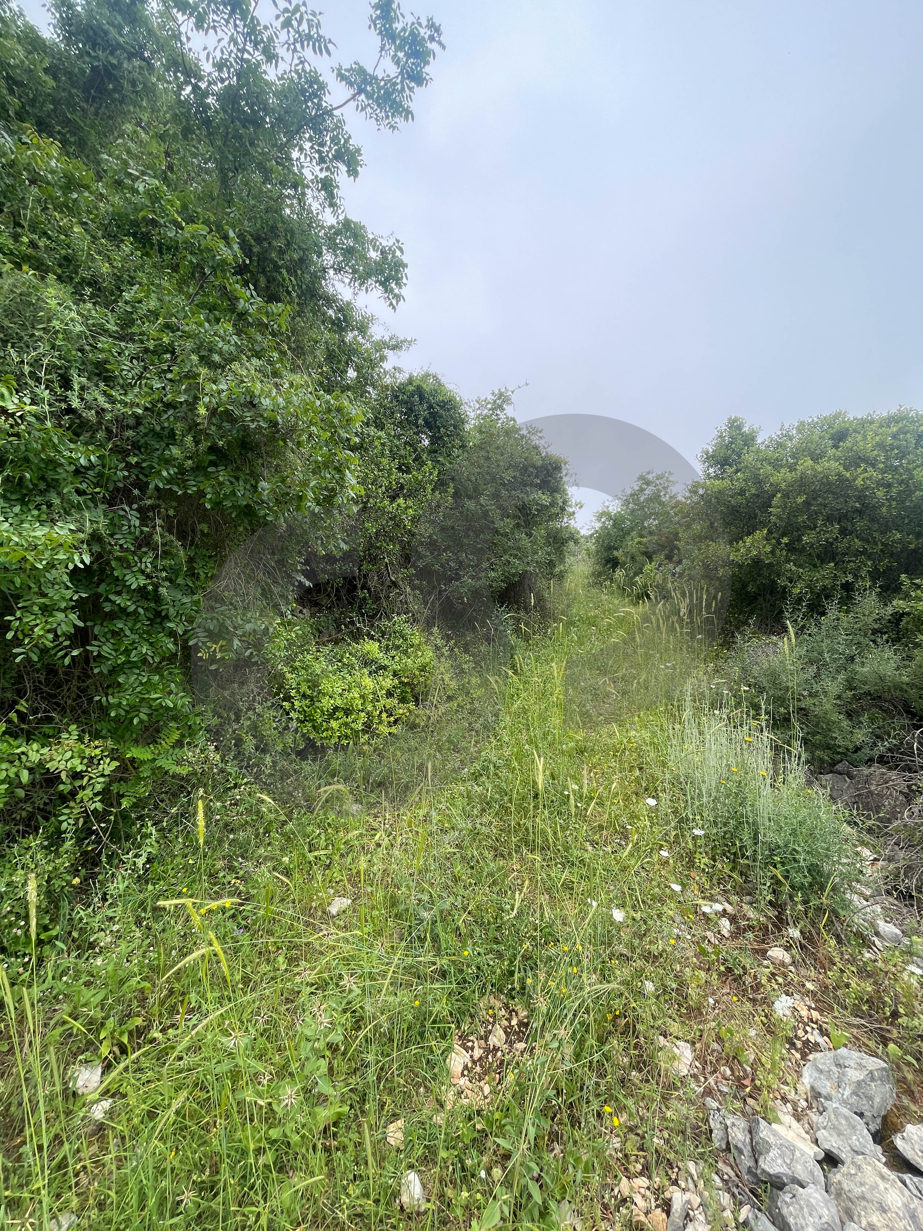 open view, great deal, jbeil, Abaydat — photo 2