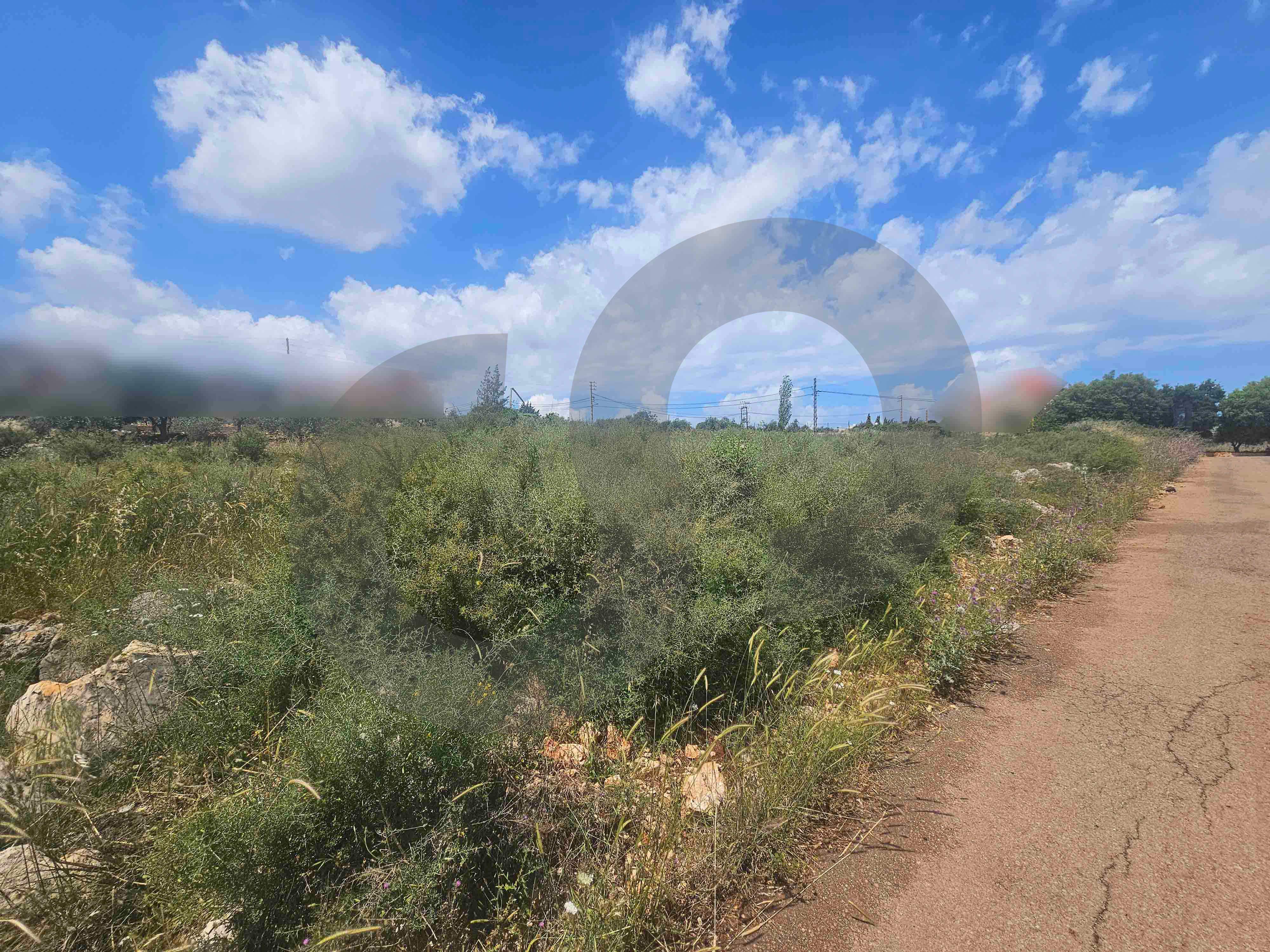Calm Neighborhood, negotiable, koura, nakhleh — الصورة 2