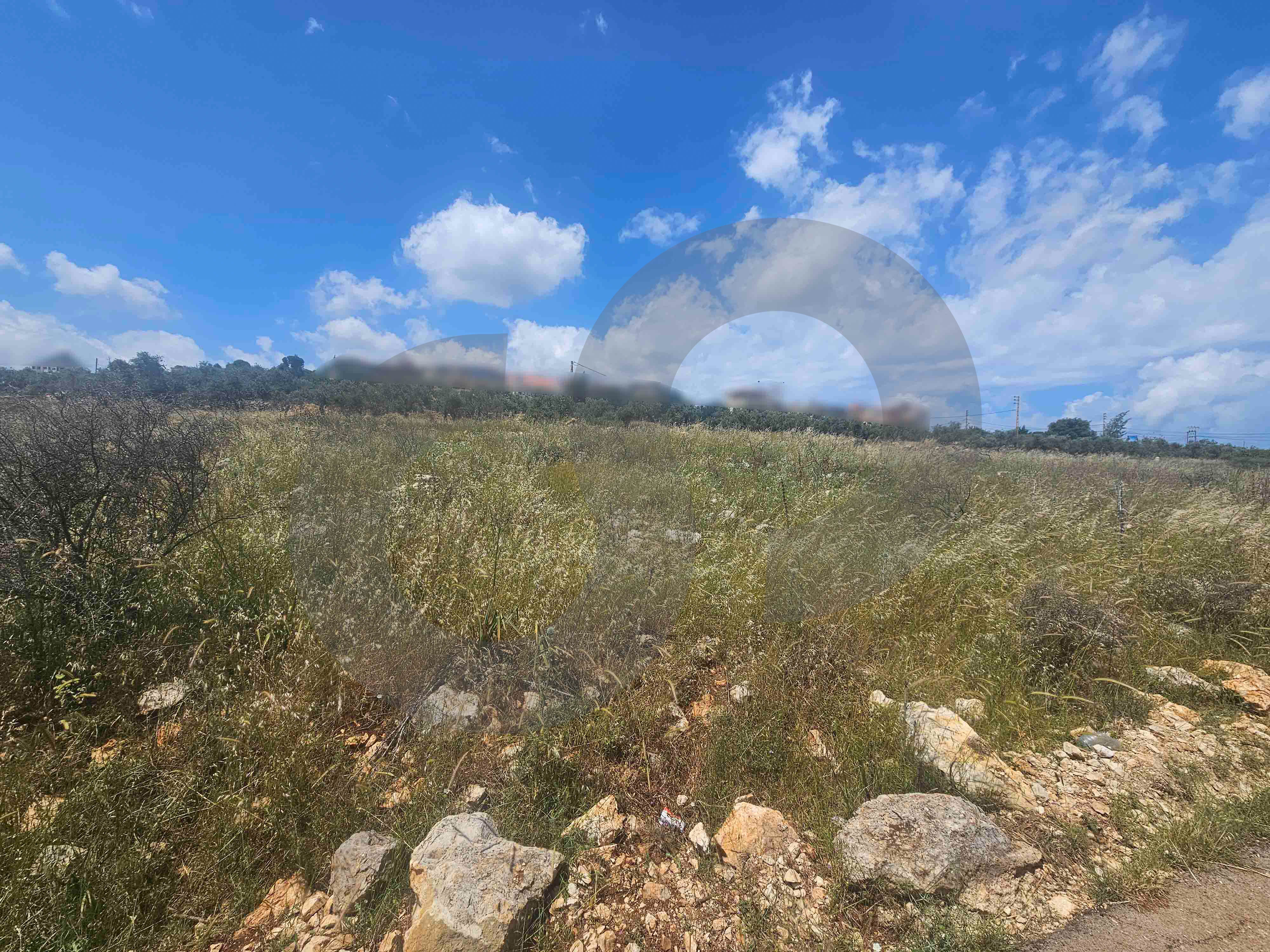 Investment opportunity , great deal, koura, nakhleh — الصورة 2