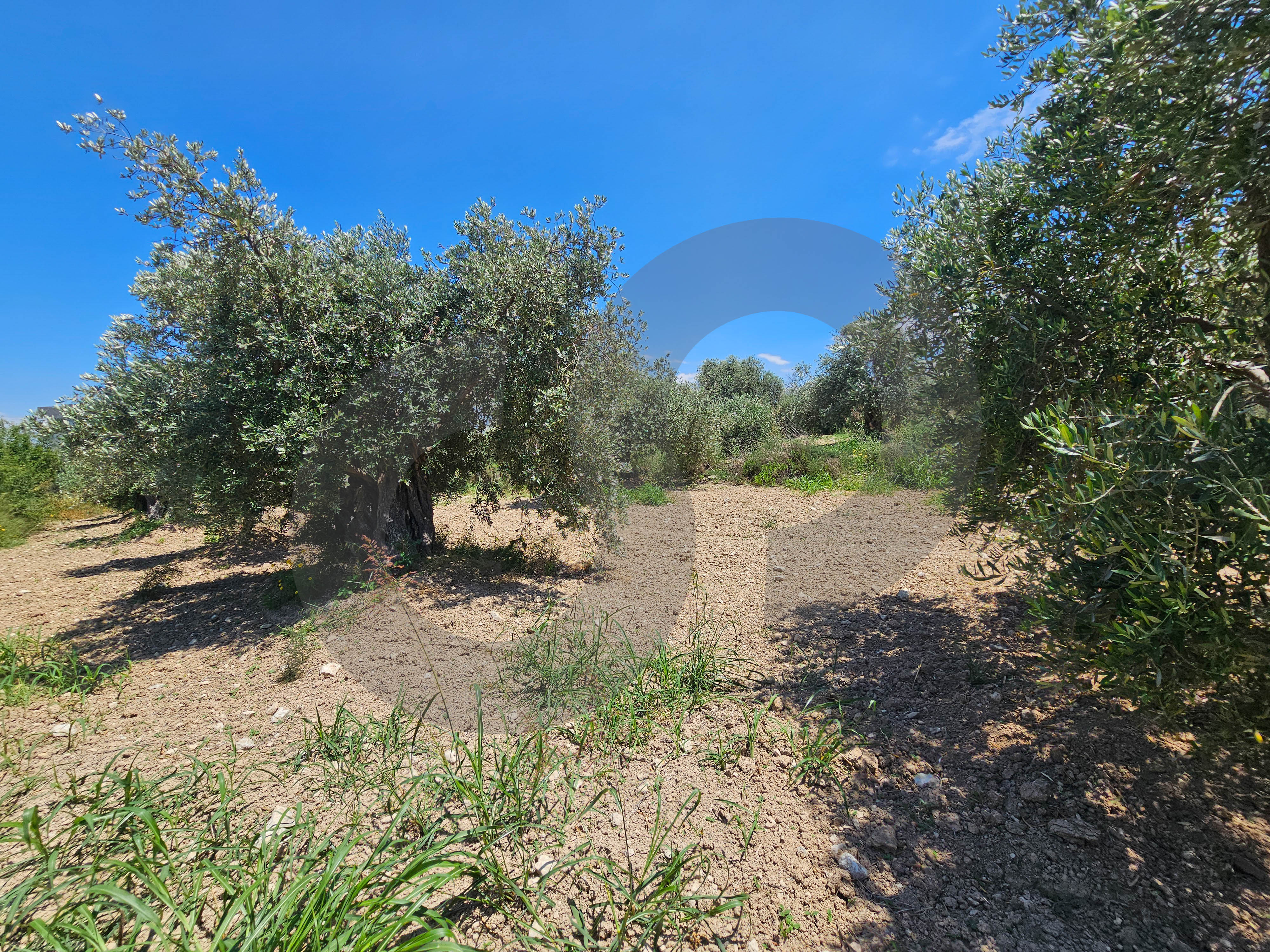 Investment opportunity, negotiable, near highway, zgharta — photo 2