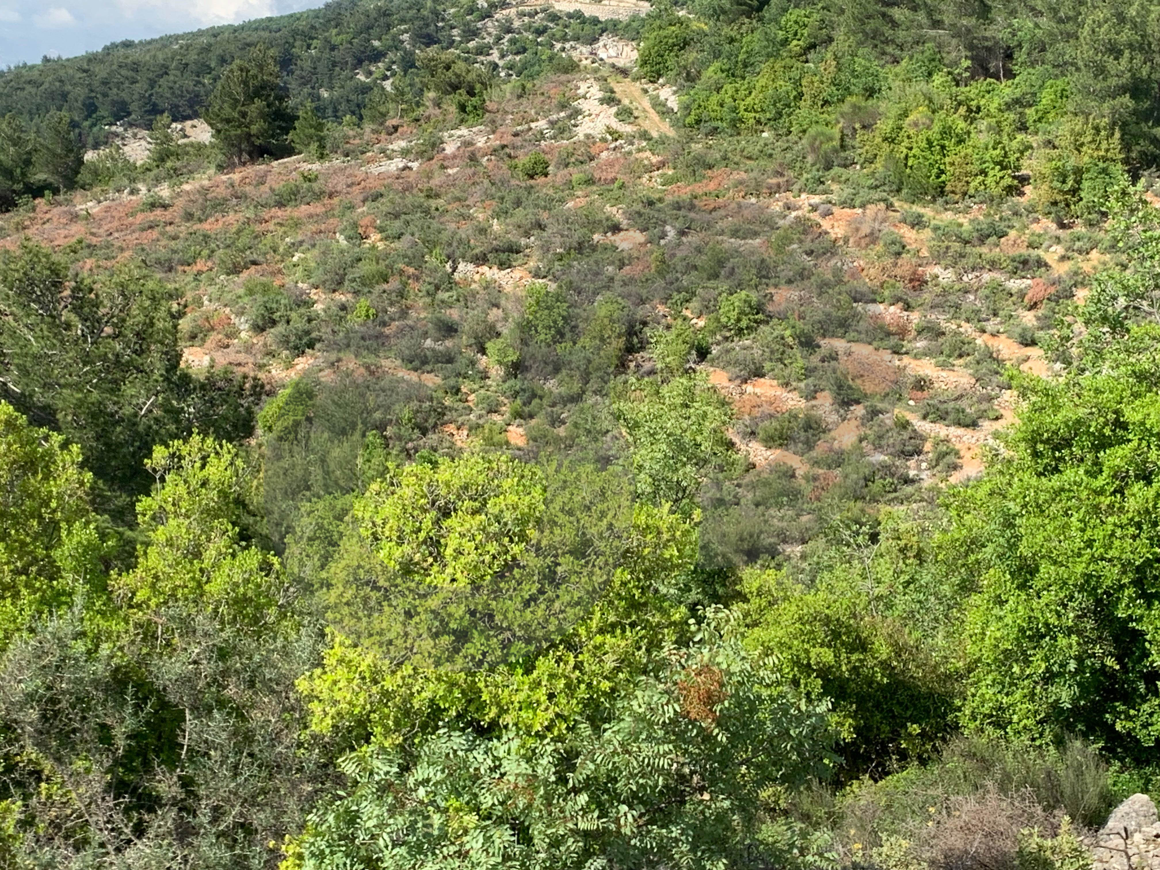 sea and mountain view, great deal, becharre, Barhalioun — الصورة 2