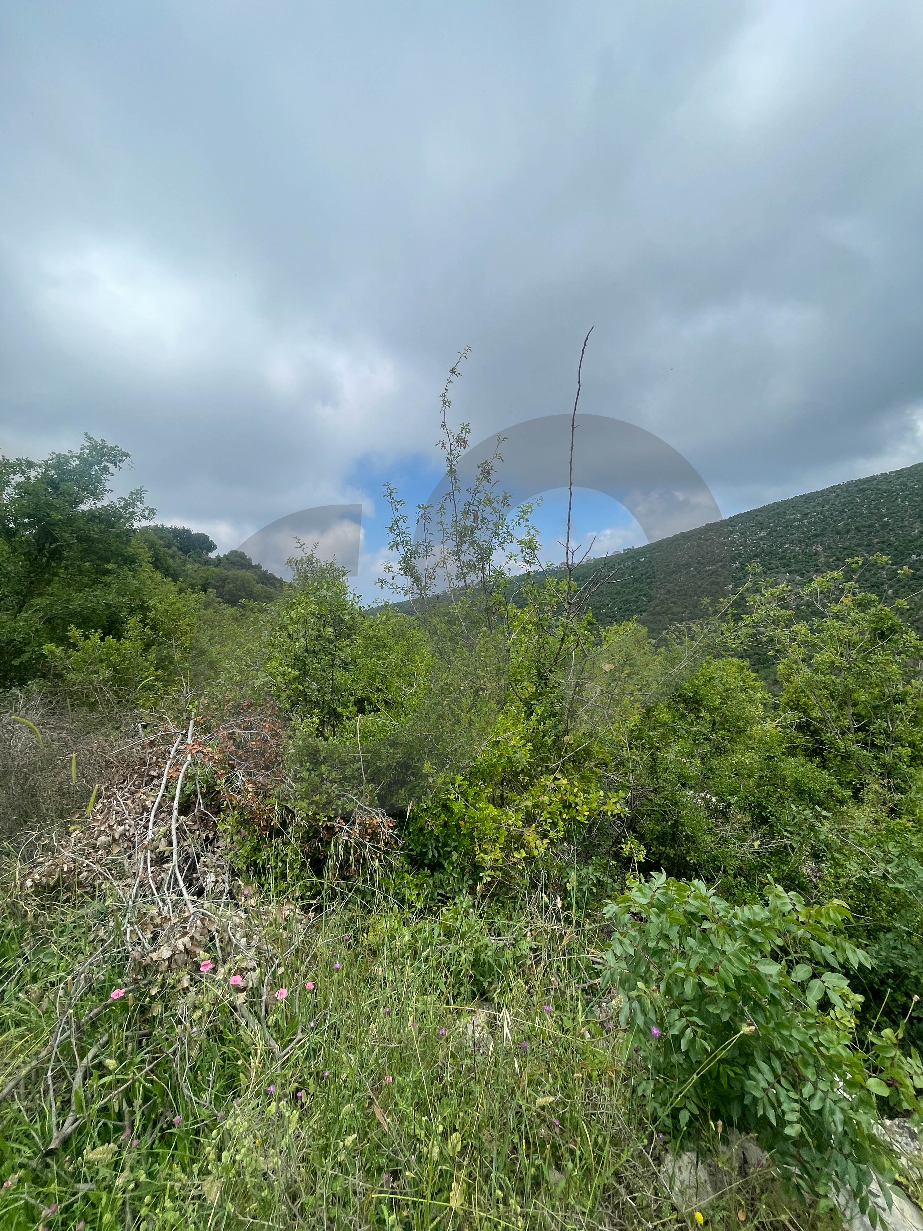 open view, peaceful area, spacious, Breij, Jbeil — الصورة 2