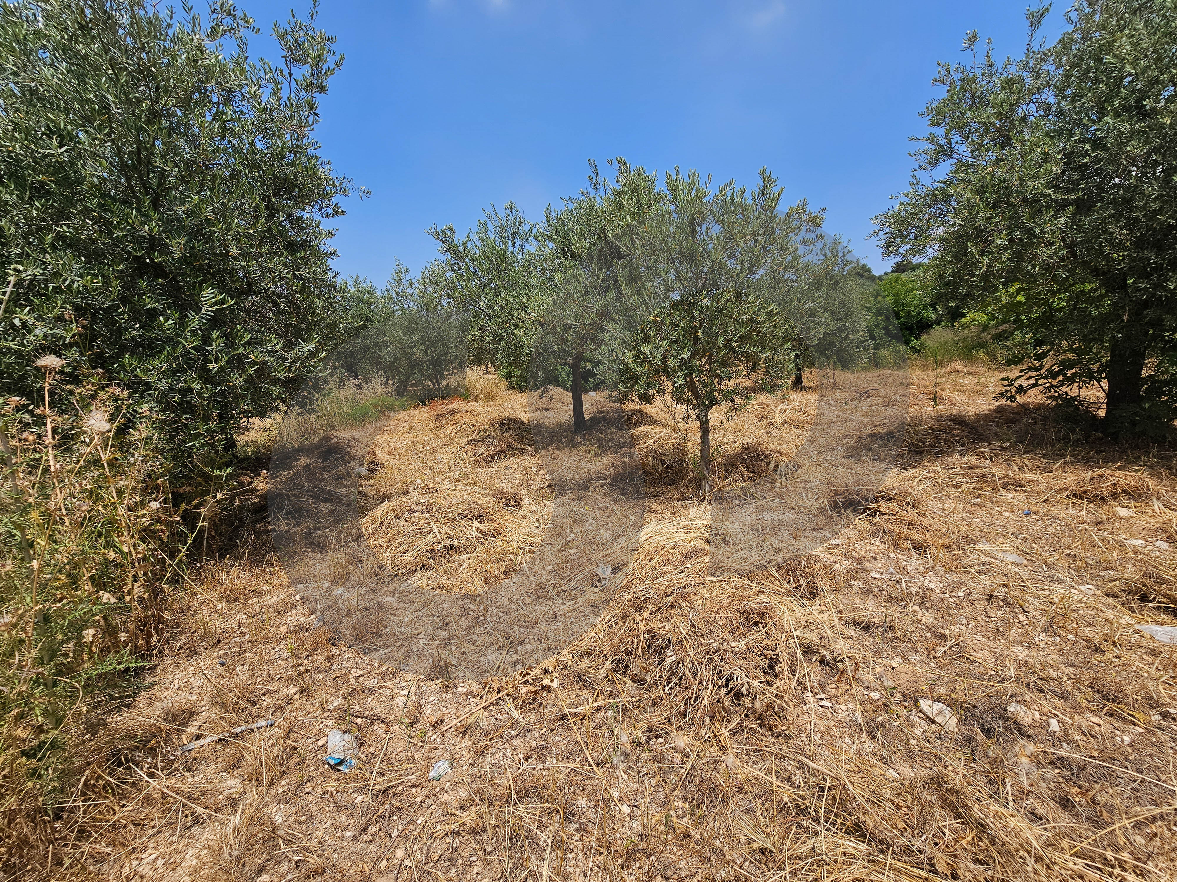Flat land, great deal, koura, Bhabouch — photo 2