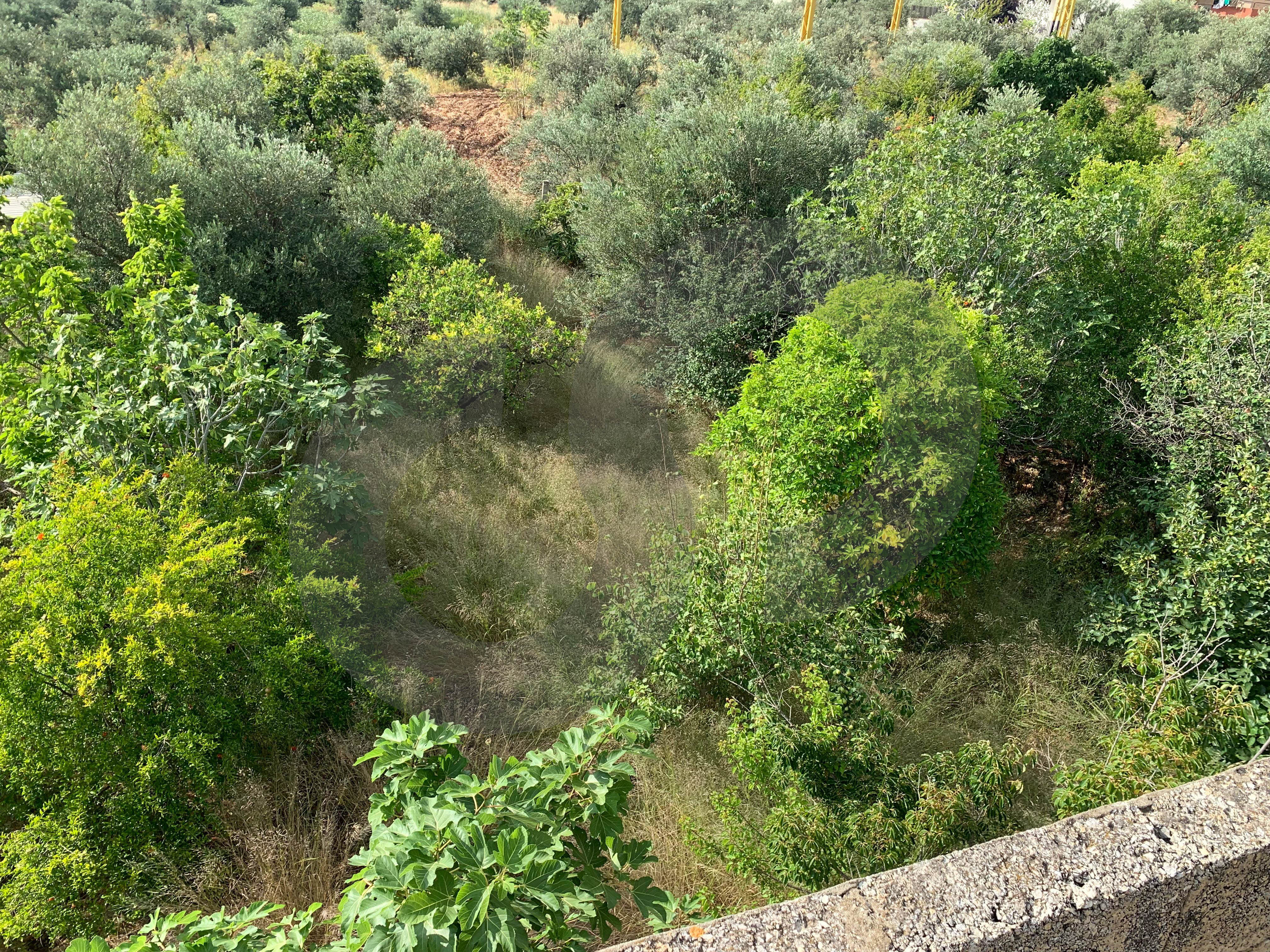 Great deal, prime location, Open view, koura, kousba — الصورة 2