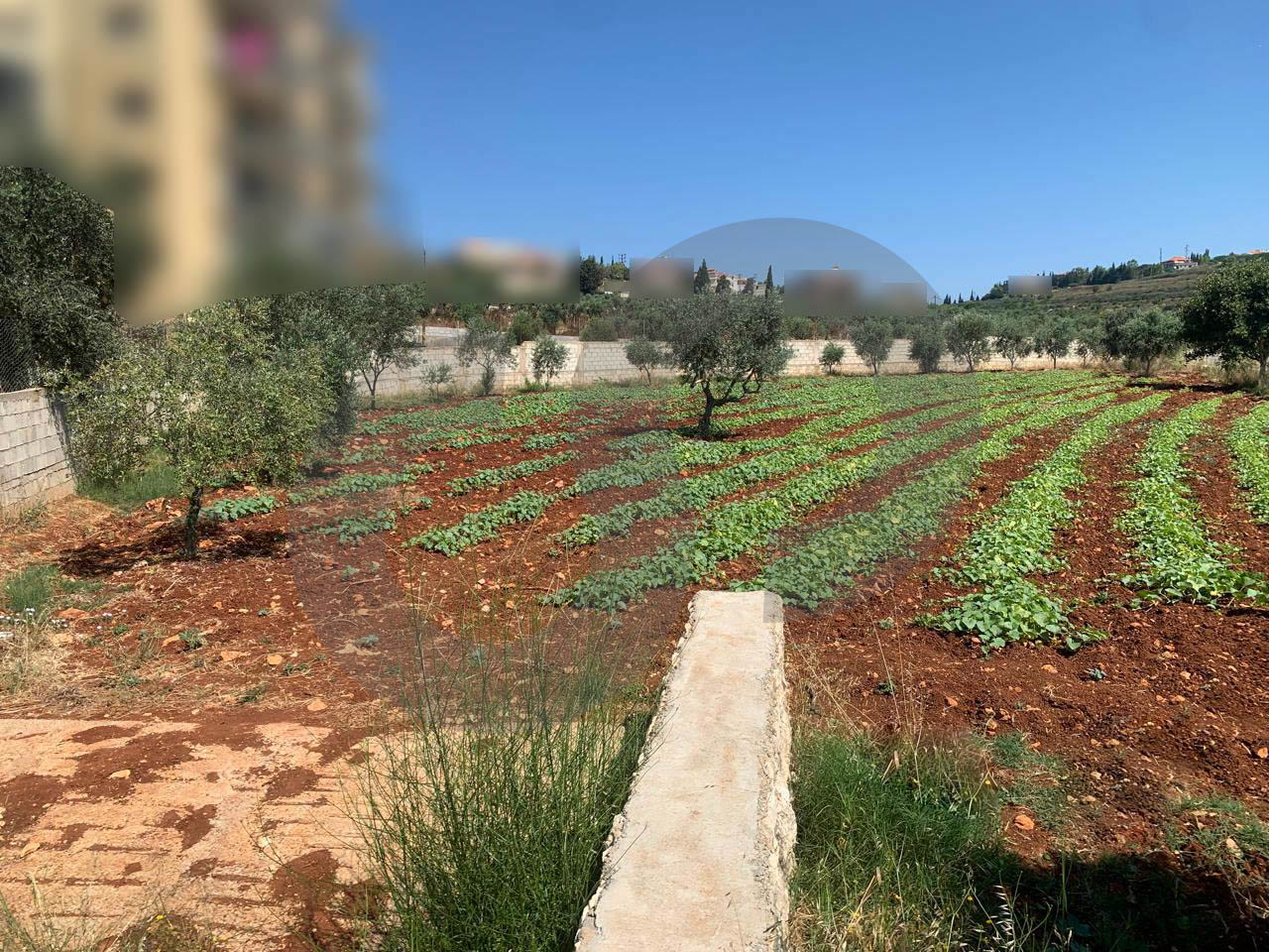 Great Deal, main road, flat land, Afsdiq, Koura — الصورة 2