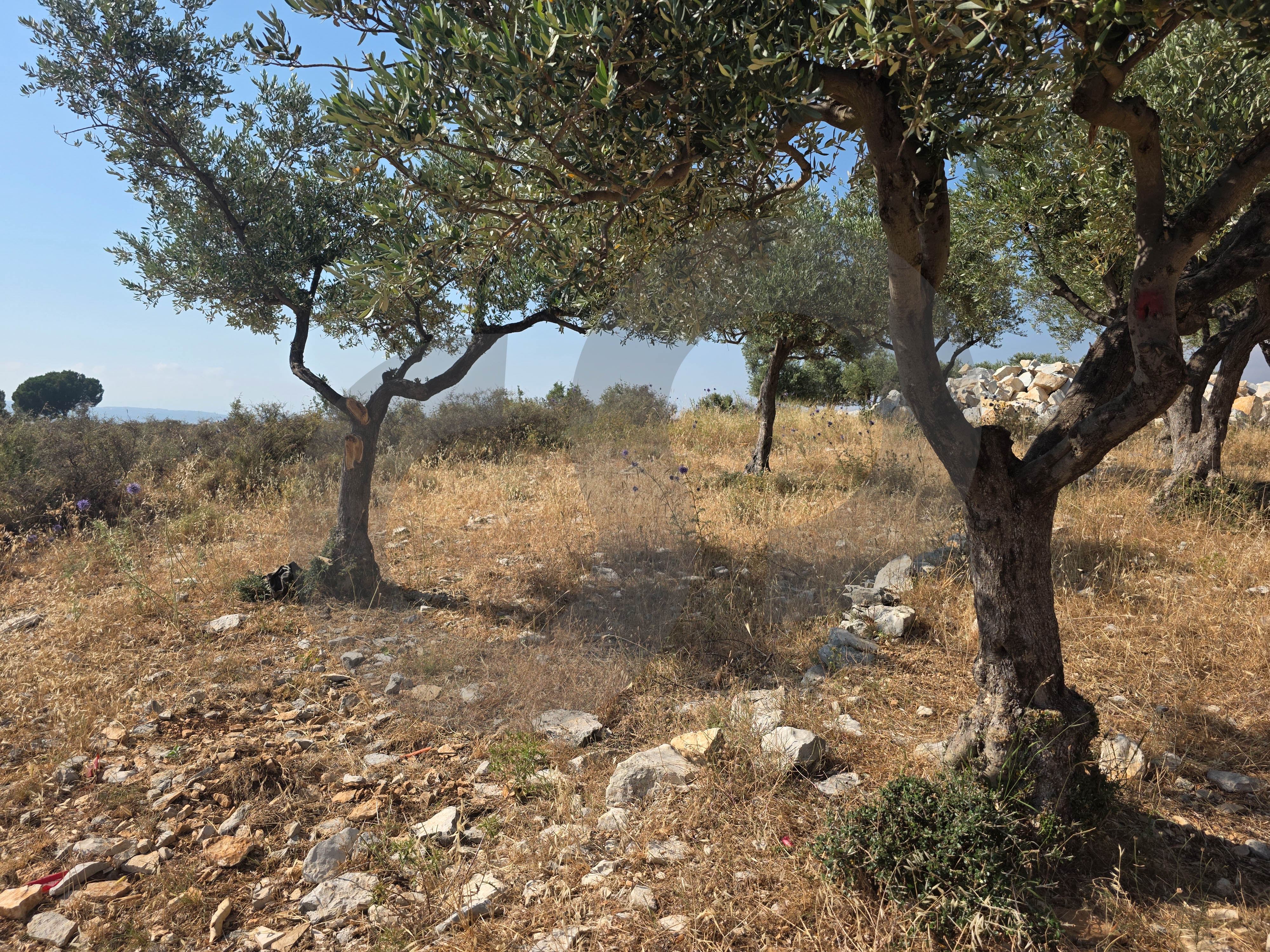 Great deal, flat land, amazing view, Rashdbin, Koura — الصورة 2