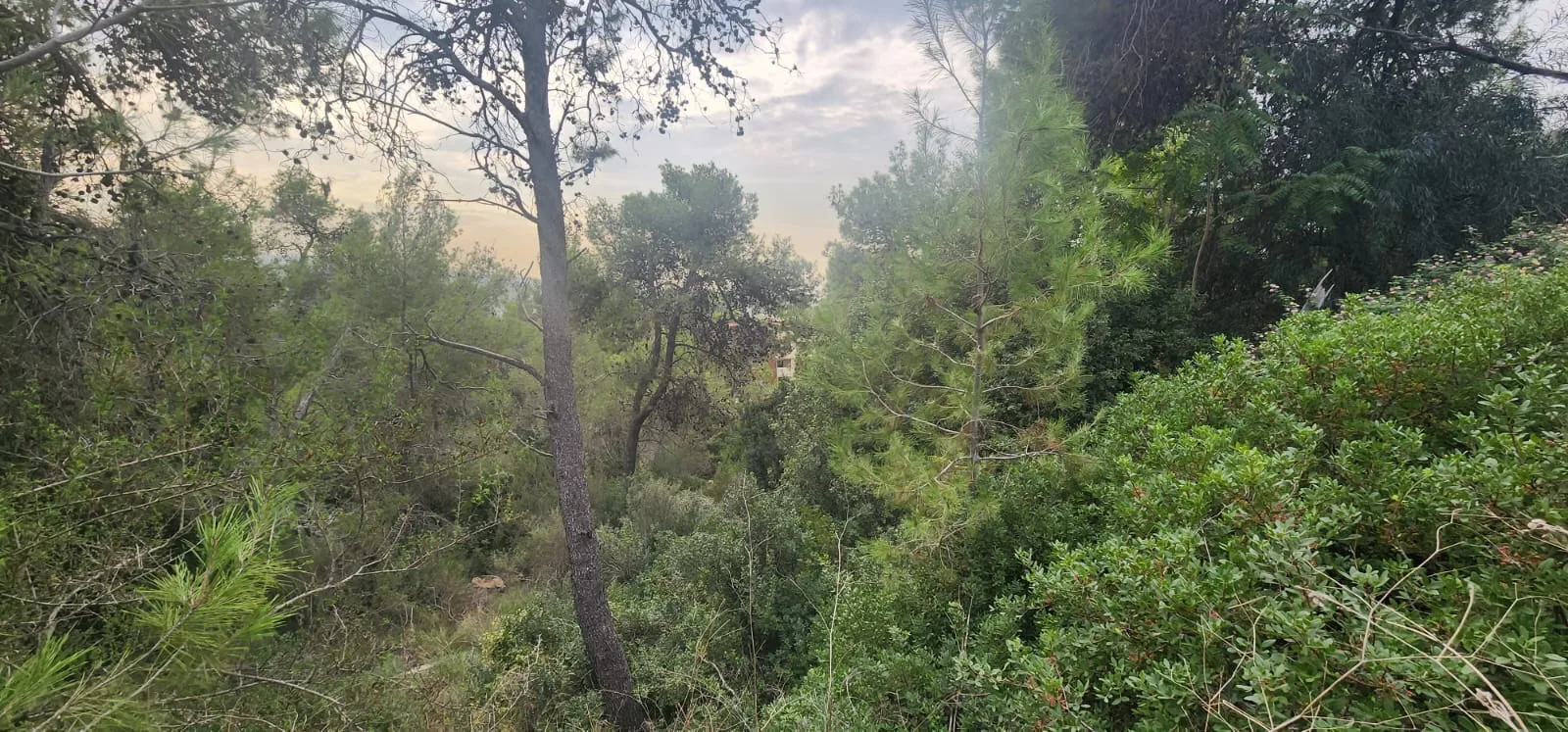 Land for Sale in Yarzeh, Lebanon