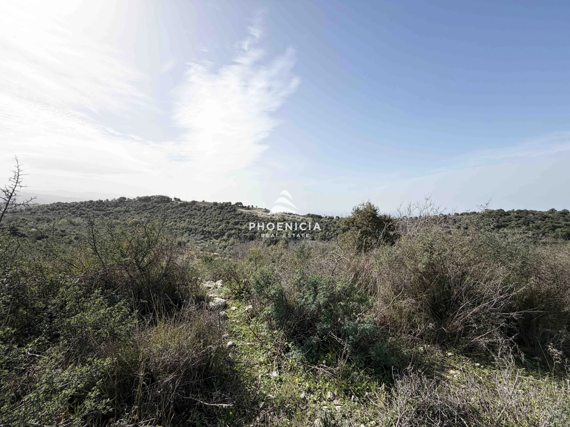 Land for Sale in Gharzouz — الصورة 6