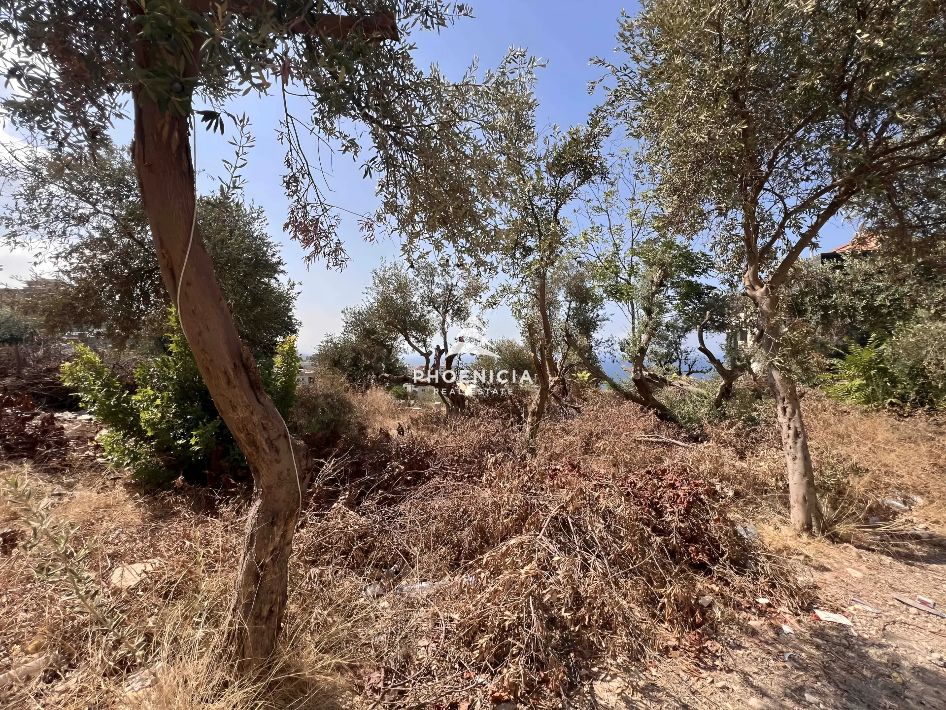 Land for Sale in Blat — الصورة 7