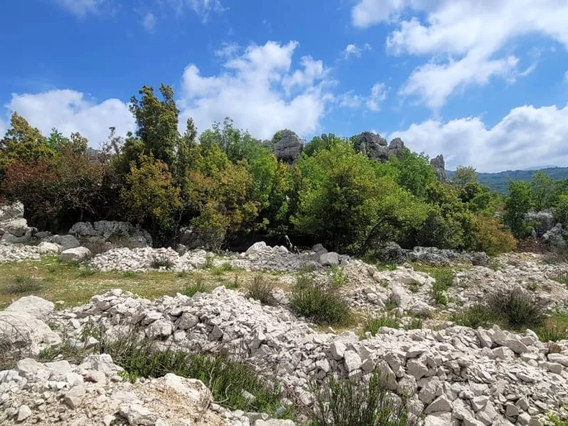 Land for Sale in Faitroun — الصورة 4
