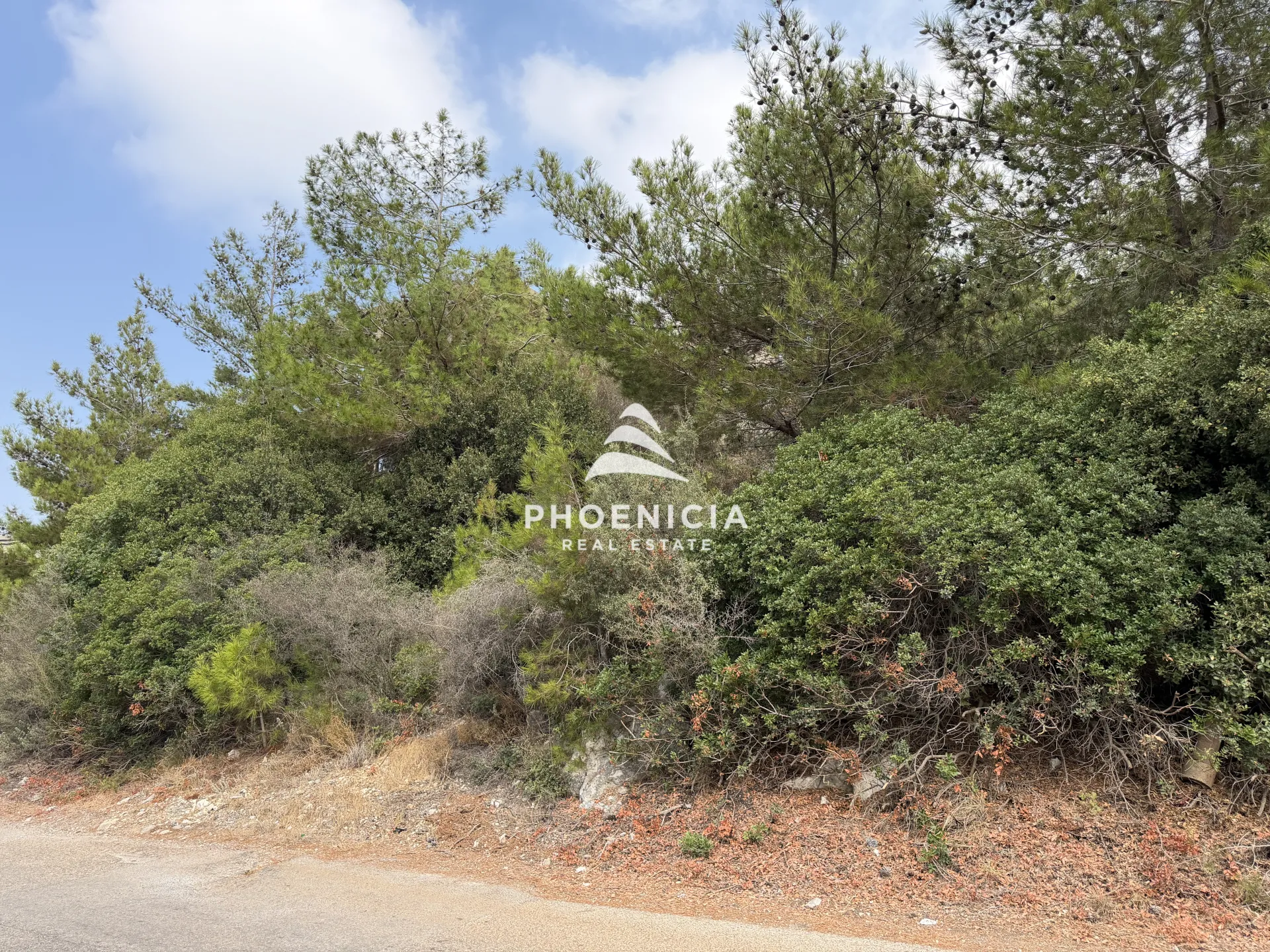 Residential Land for sale in Adma w Dafnah, Lebanon — الصورة 6