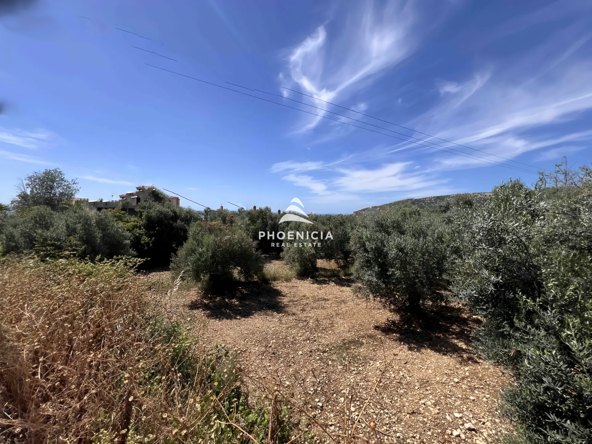 Land for Sale in Batroun — الصورة 7