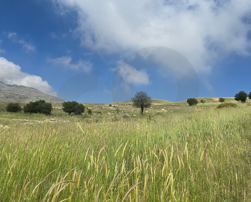 Mountain View/Hot Deal/Baabda - Falougha — الصورة 2