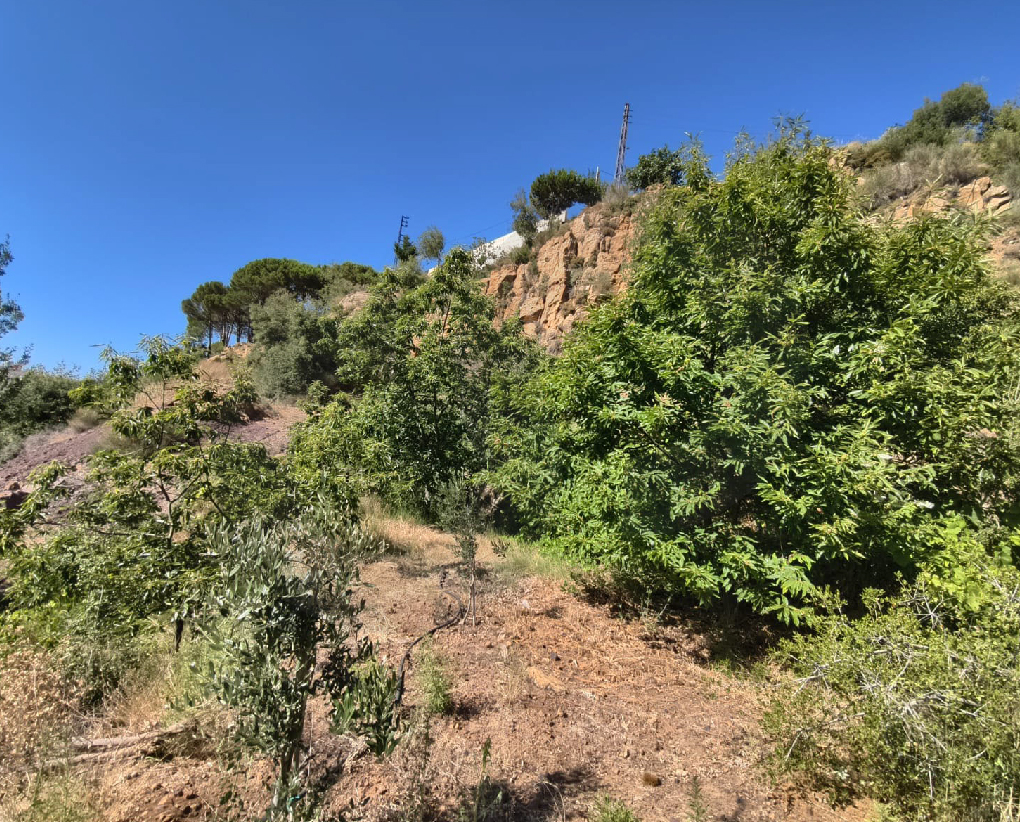 Stunning Holy Valley View/North/Zgharta-/Hawka — photo 2