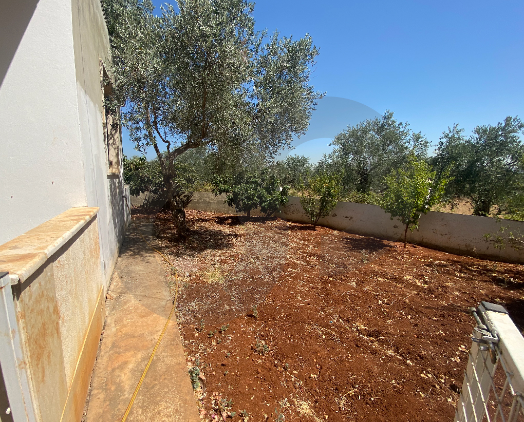 Calm area/Big garden/Beautiful green space/Zgharta — الصورة 2