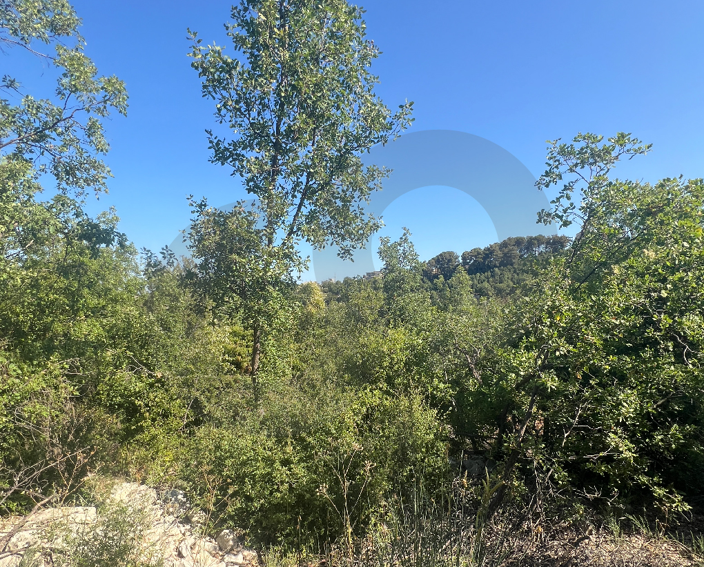 Open View/3 MINS FROM THE HIGHWAY/Jbeil/Mechmech — الصورة 2