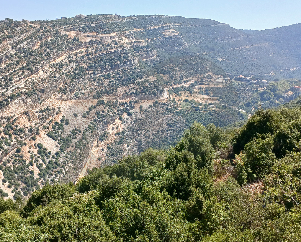 Prime land/Road access/negotiable/Batroun/Daael — الصورة 2