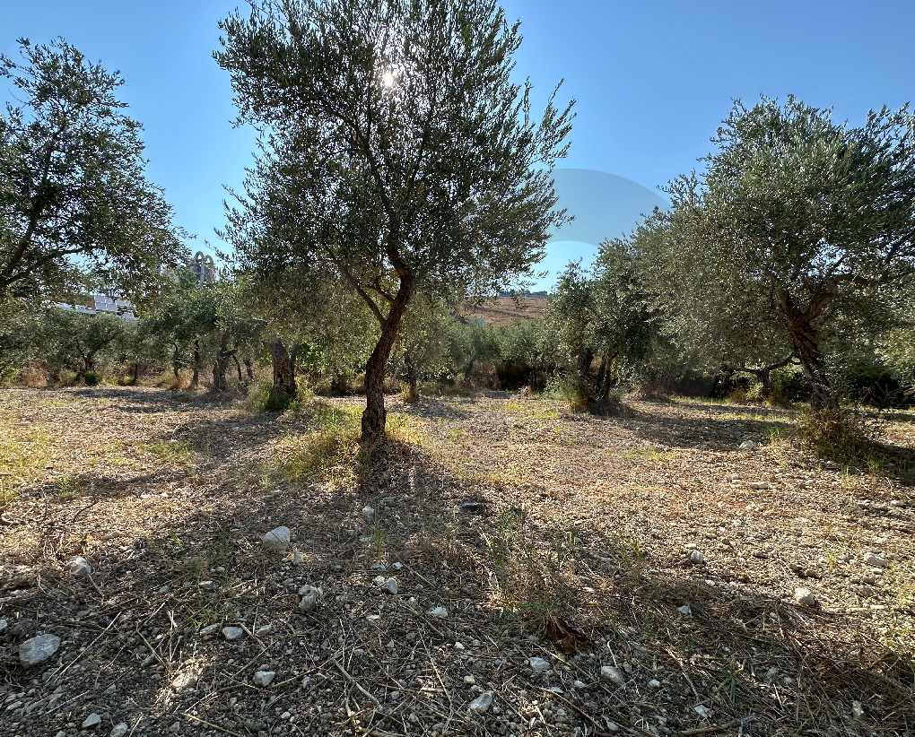 Prime Land for Sale/Direct Highway Frontage/Batroun/Al Heri — الصورة 2