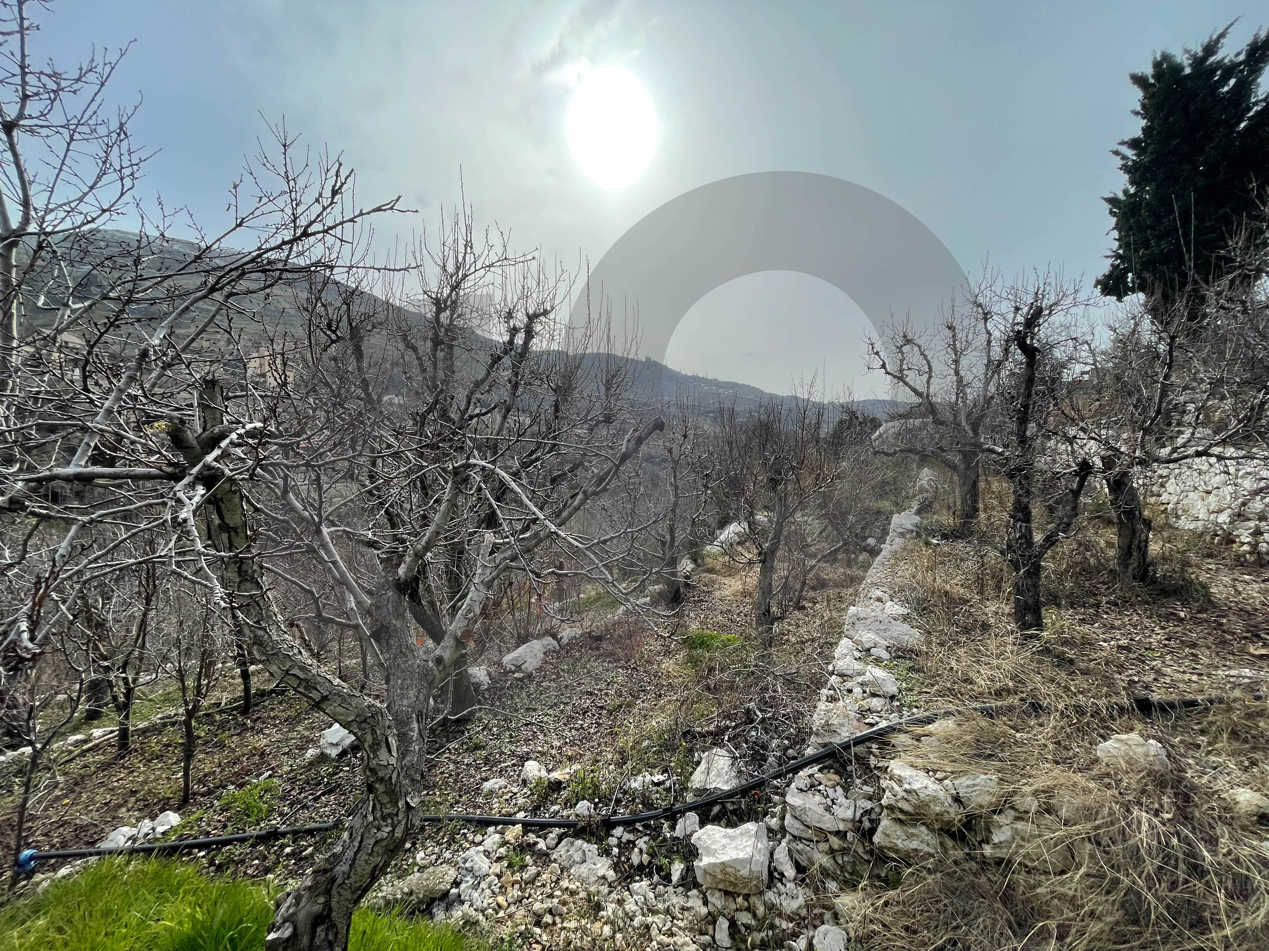 5000 Land for sale FARAYA — الصورة 3
