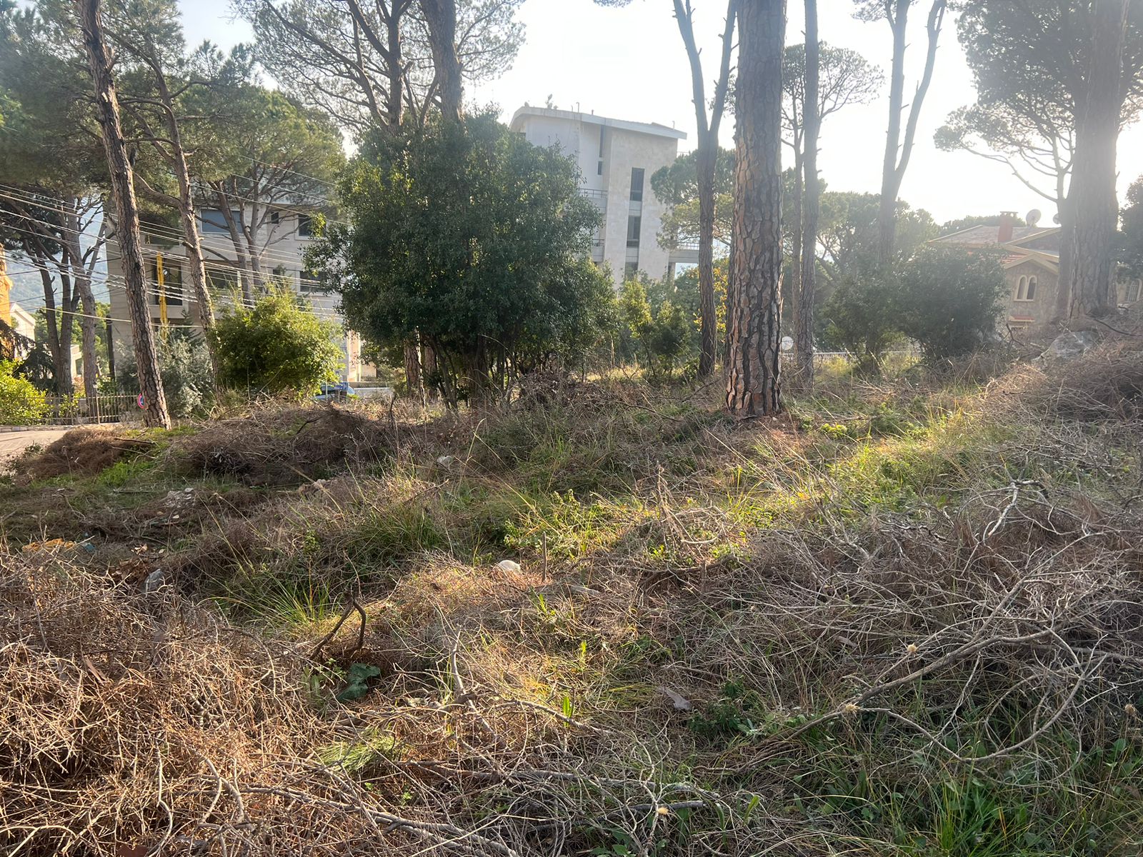 One of the unique lands in Broumana Oyoun! — الصورة 2