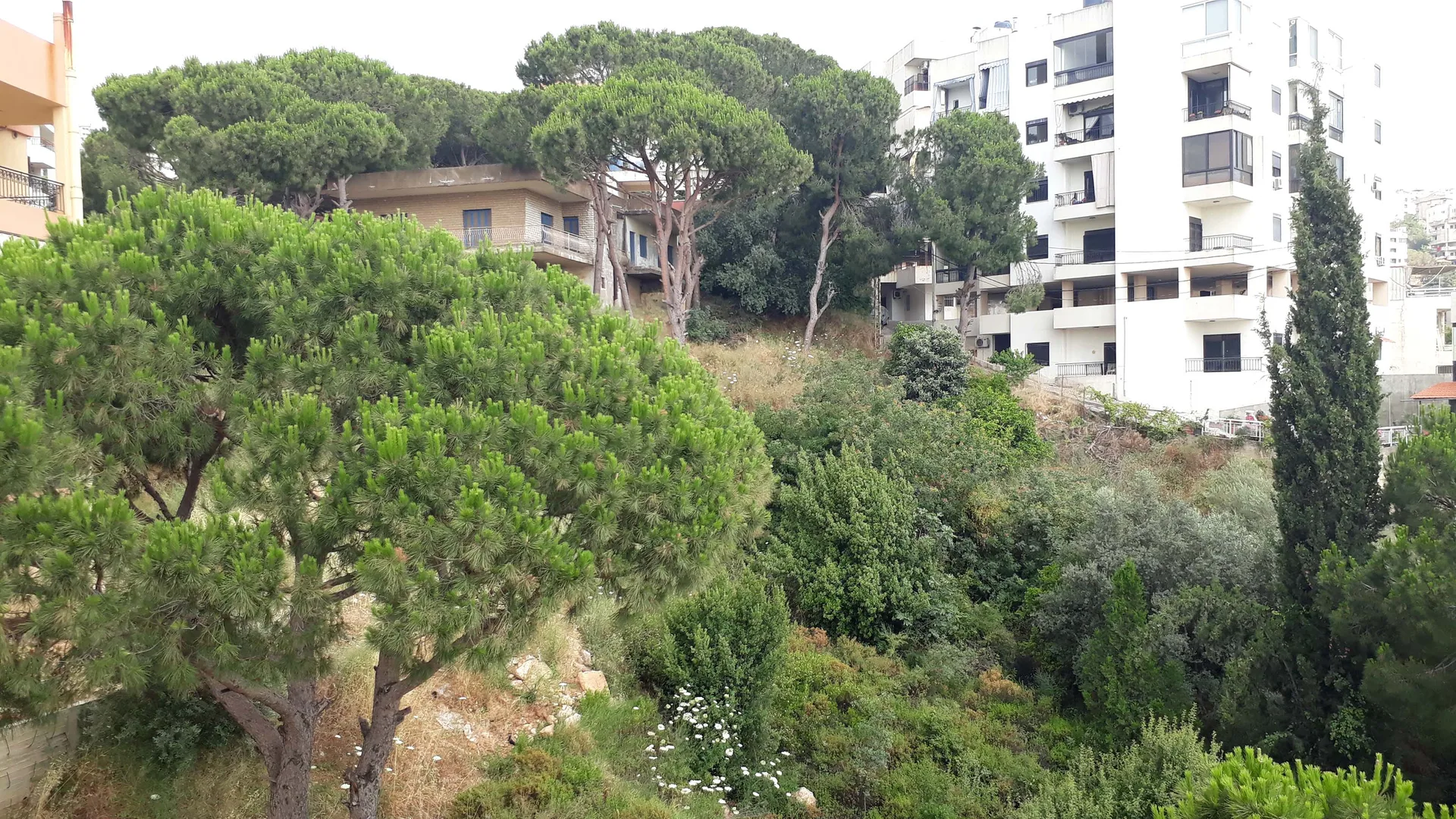 Duplex for Sale in Nabiyeh, Lebanon — الصورة 2