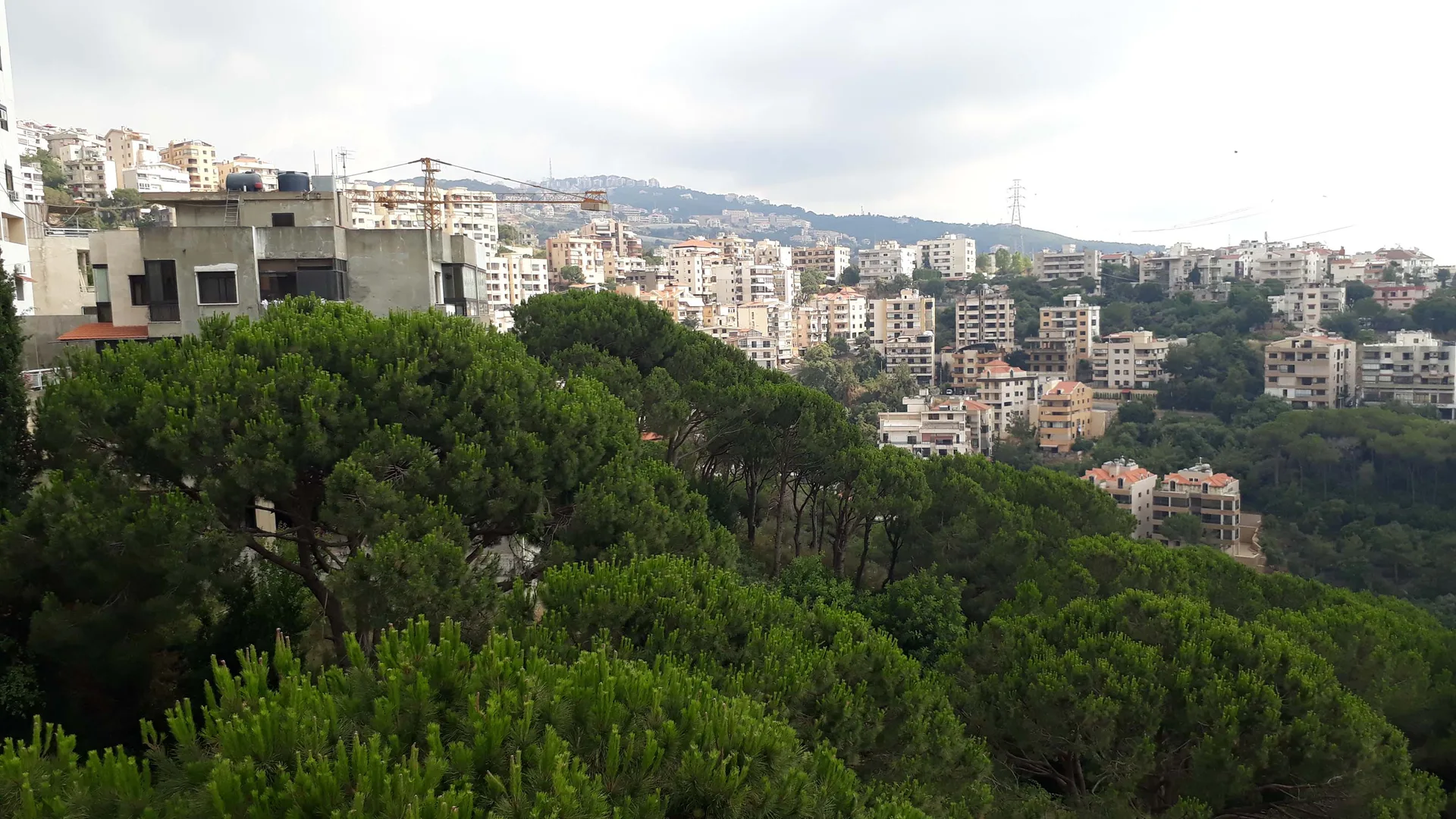 Duplex for Sale in Nabiyeh, Lebanon — الصورة 3