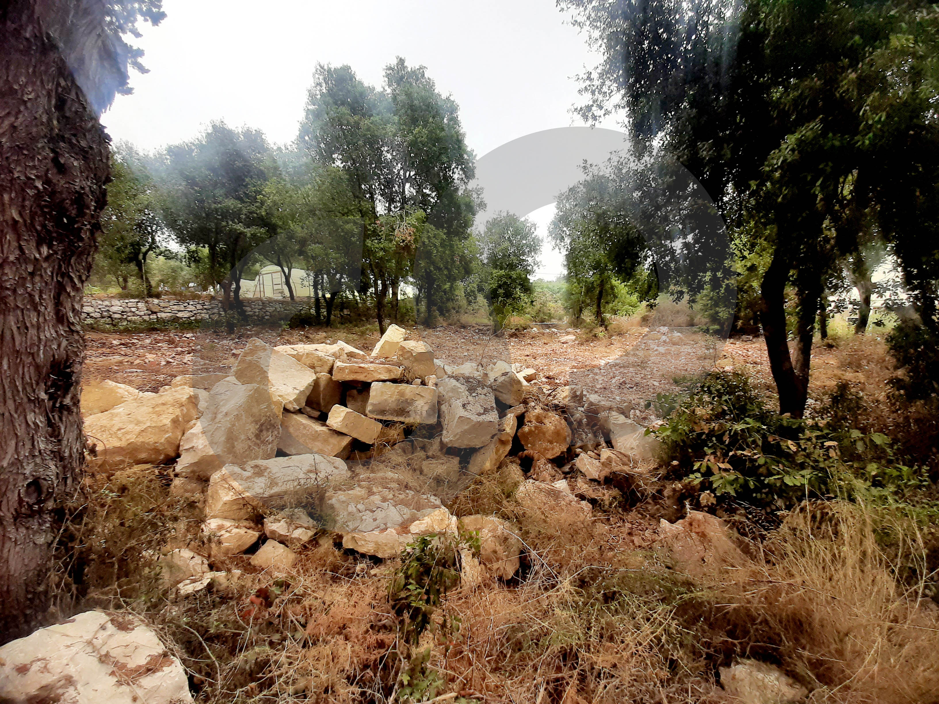 Prime Land for Sale in Fatri – Jbeil — الصورة 2