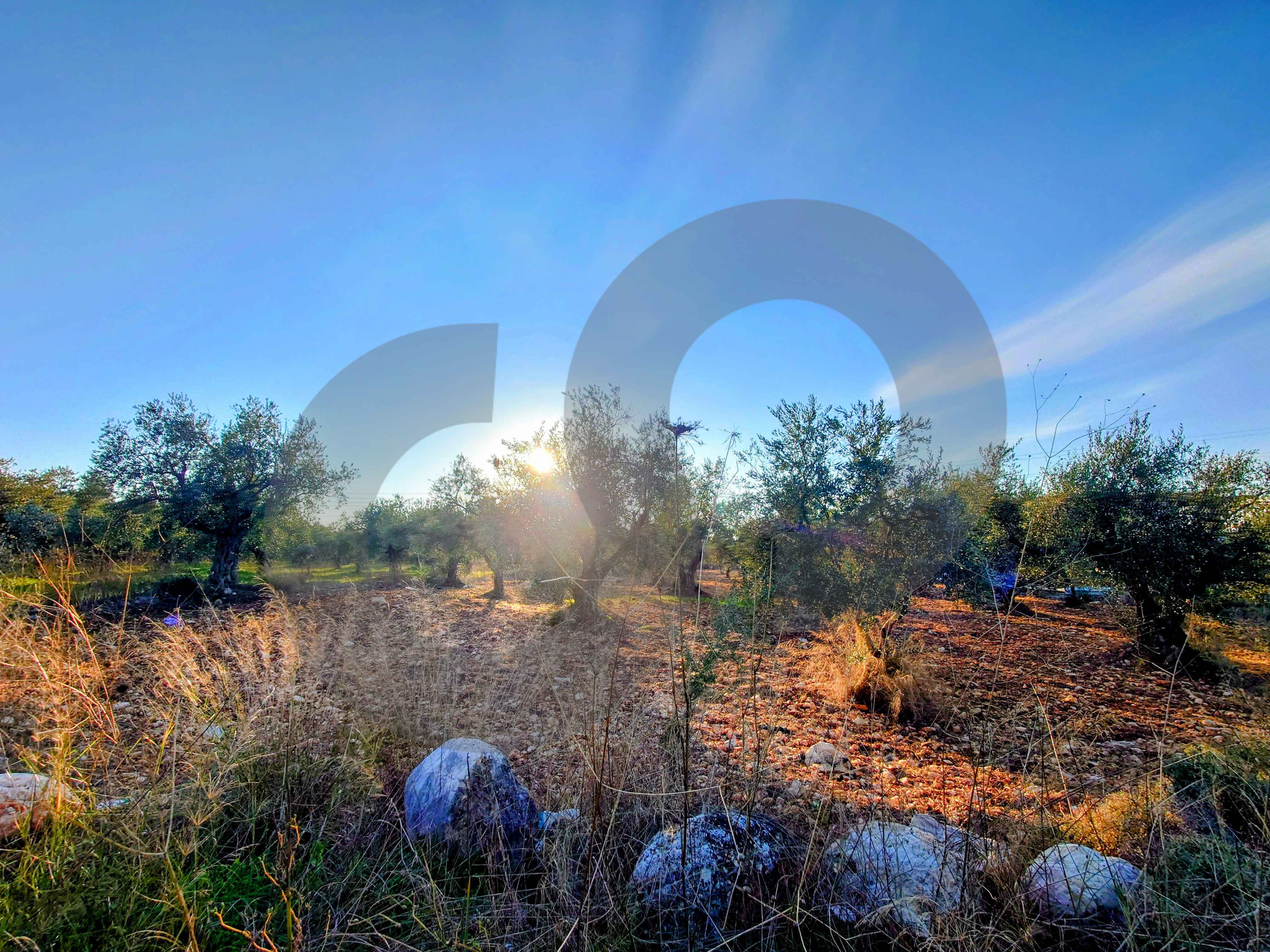 LAND/Only 20m from the main road/Nbouch-Zgharta — الصورة 2