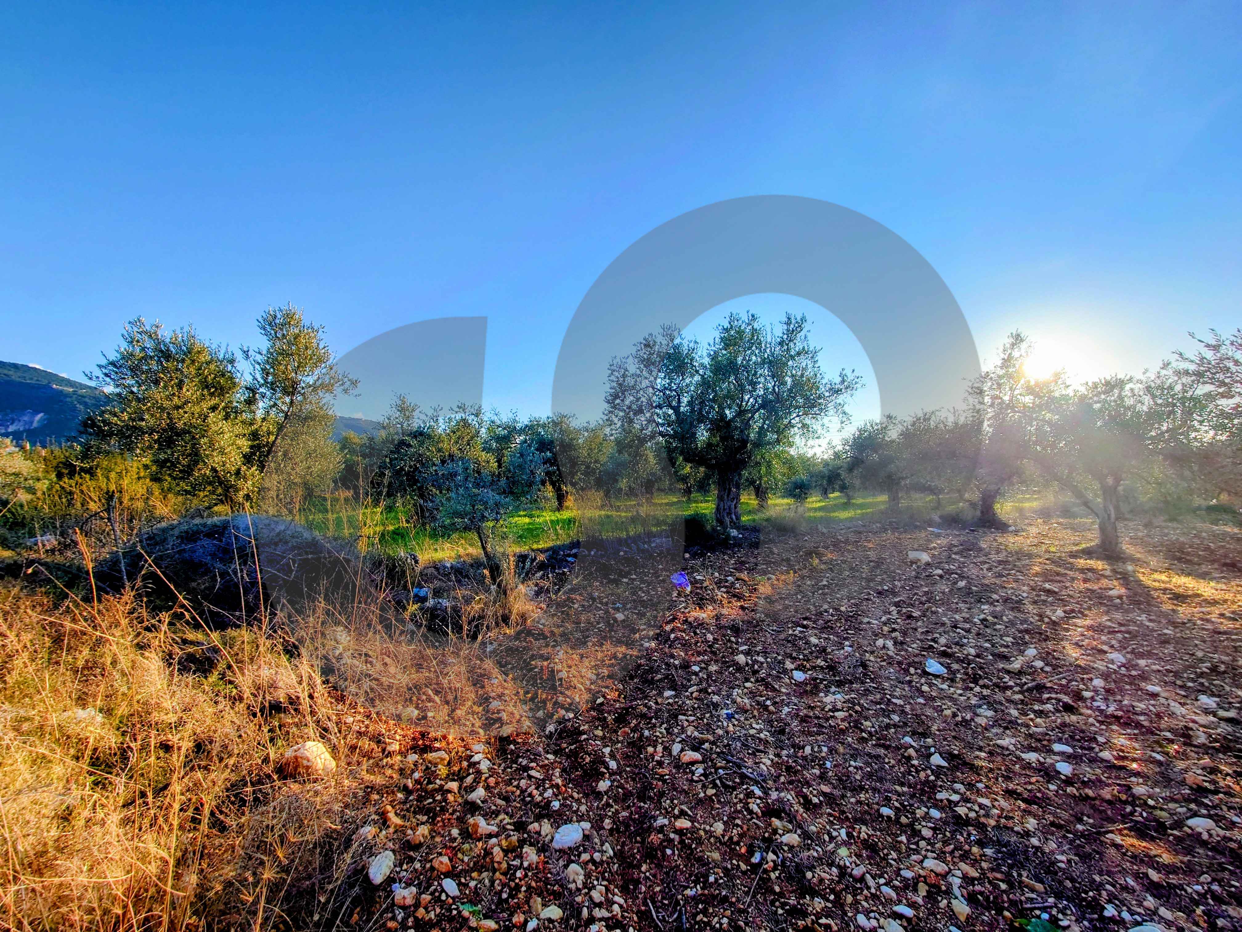 LAND/Only 20m from the main road/Nbouch-Zgharta — الصورة 3