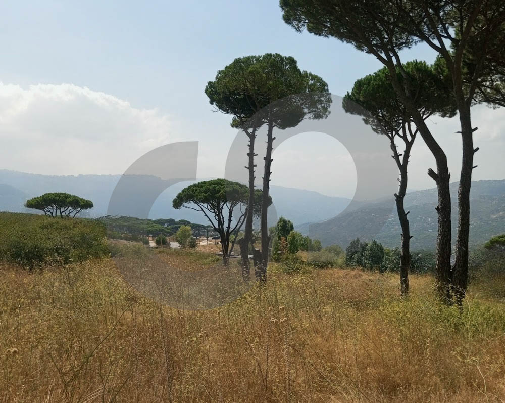 prime opportunity/highly desirable location/flat plot/easy access/HAMMANA,BAABDA — الصورة 2