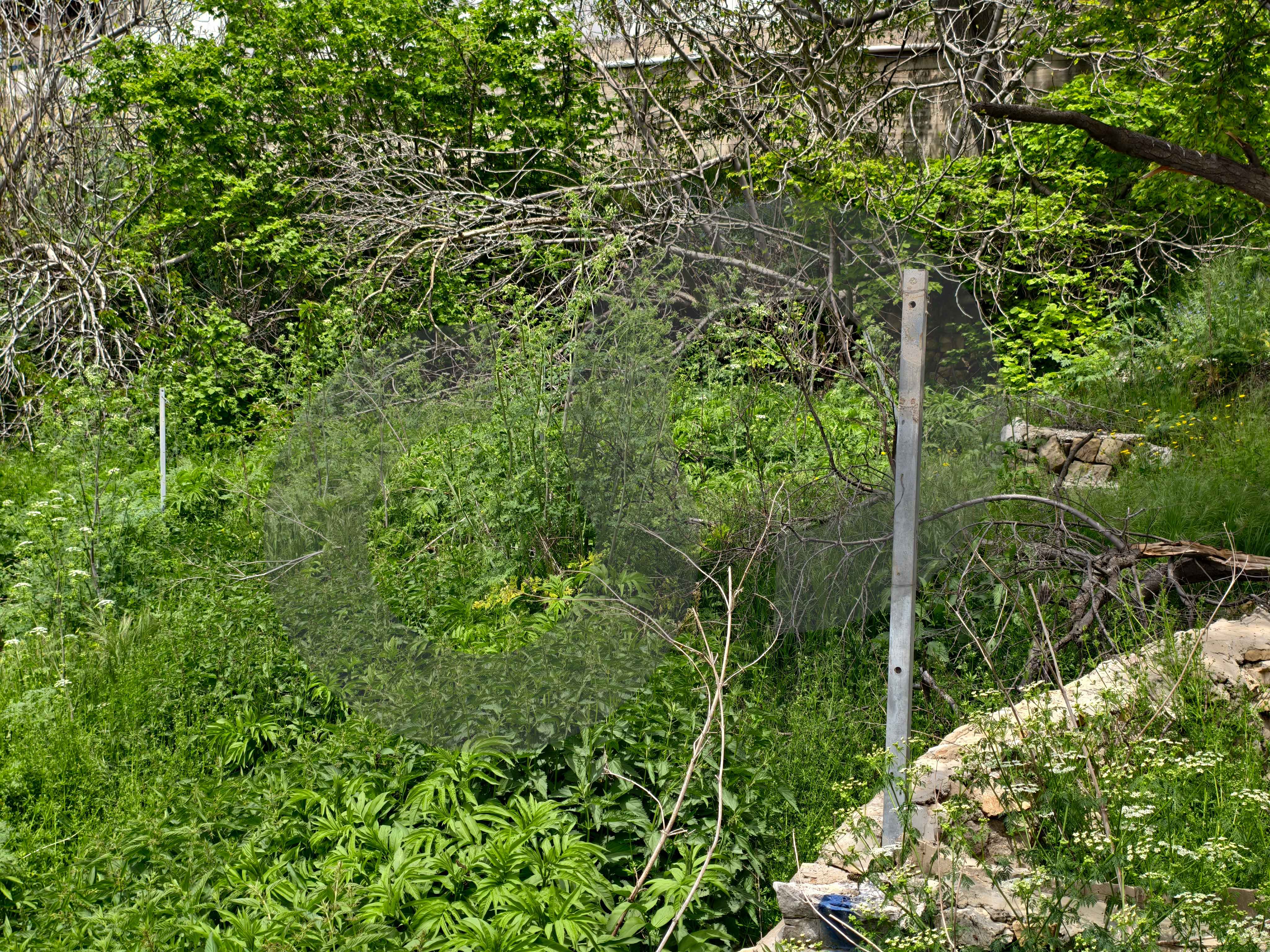 LAND /PRIME LOCATION/Ehden,Zgharta — الصورة 2