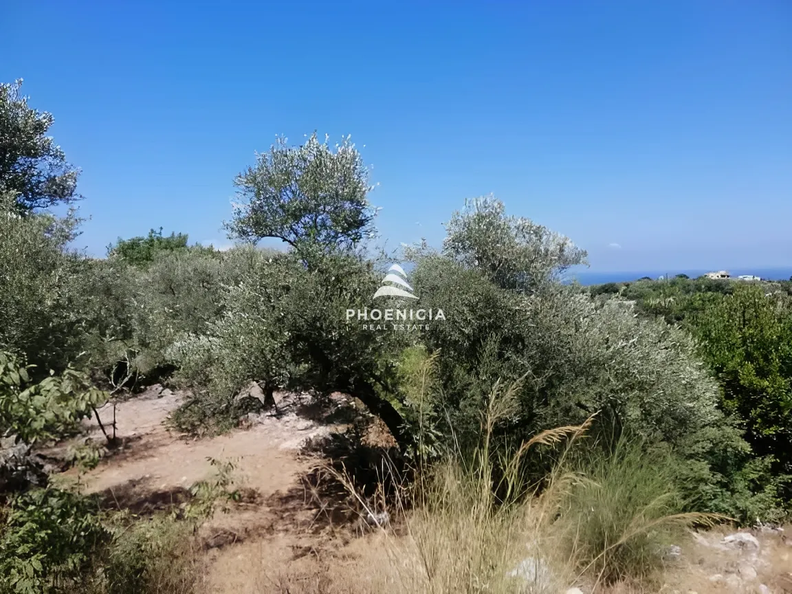 Land for Sale in Monsef — الصورة 16