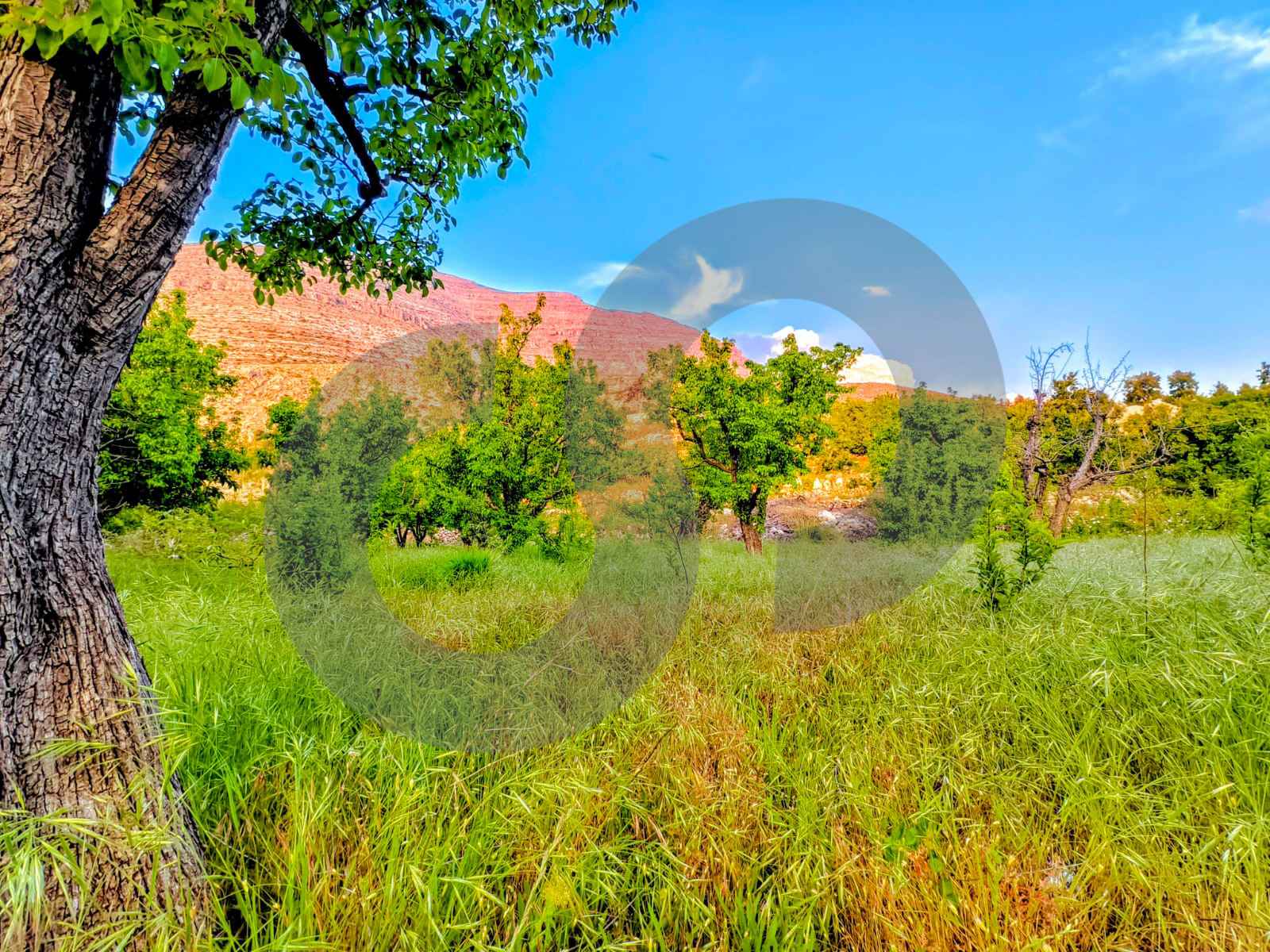 LAND / EHDEN /ZONING : 25/50 — الصورة 2