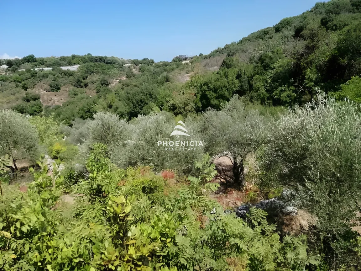 Land for Sale in Monsef — الصورة 8