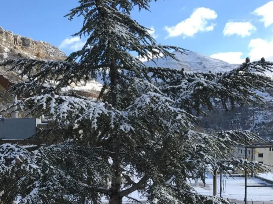 Apartment for Sale in Faraya — الصورة 6