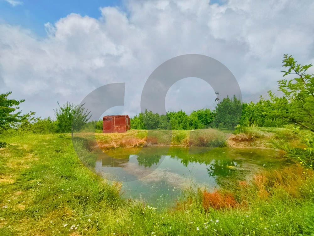5,700 SQM Prime Land in Boufa – Ehden | 20/40 Zoning | Below Market Price — الصورة 3