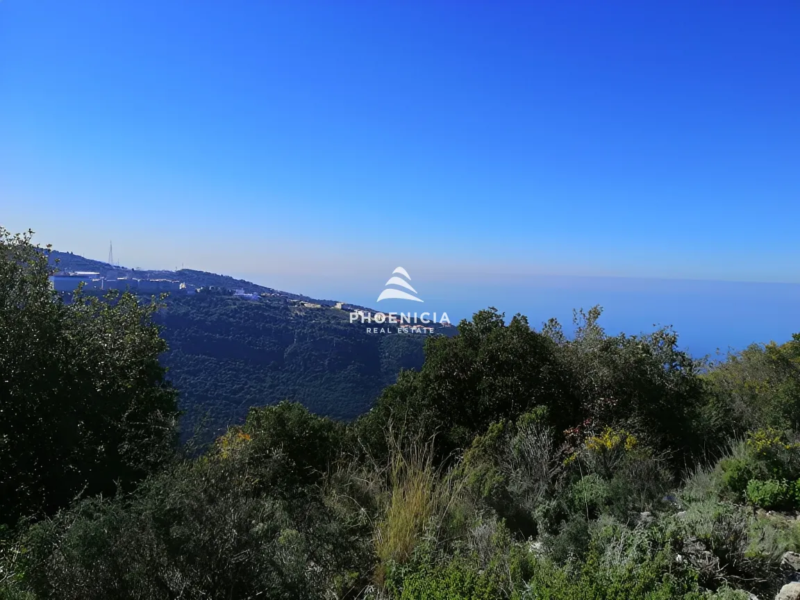 Land for Sale in Blat — الصورة 7