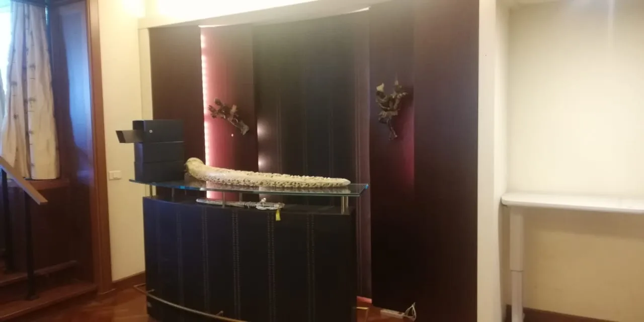 Duplex for Rent in Rabieh, Lebanon — الصورة 8
