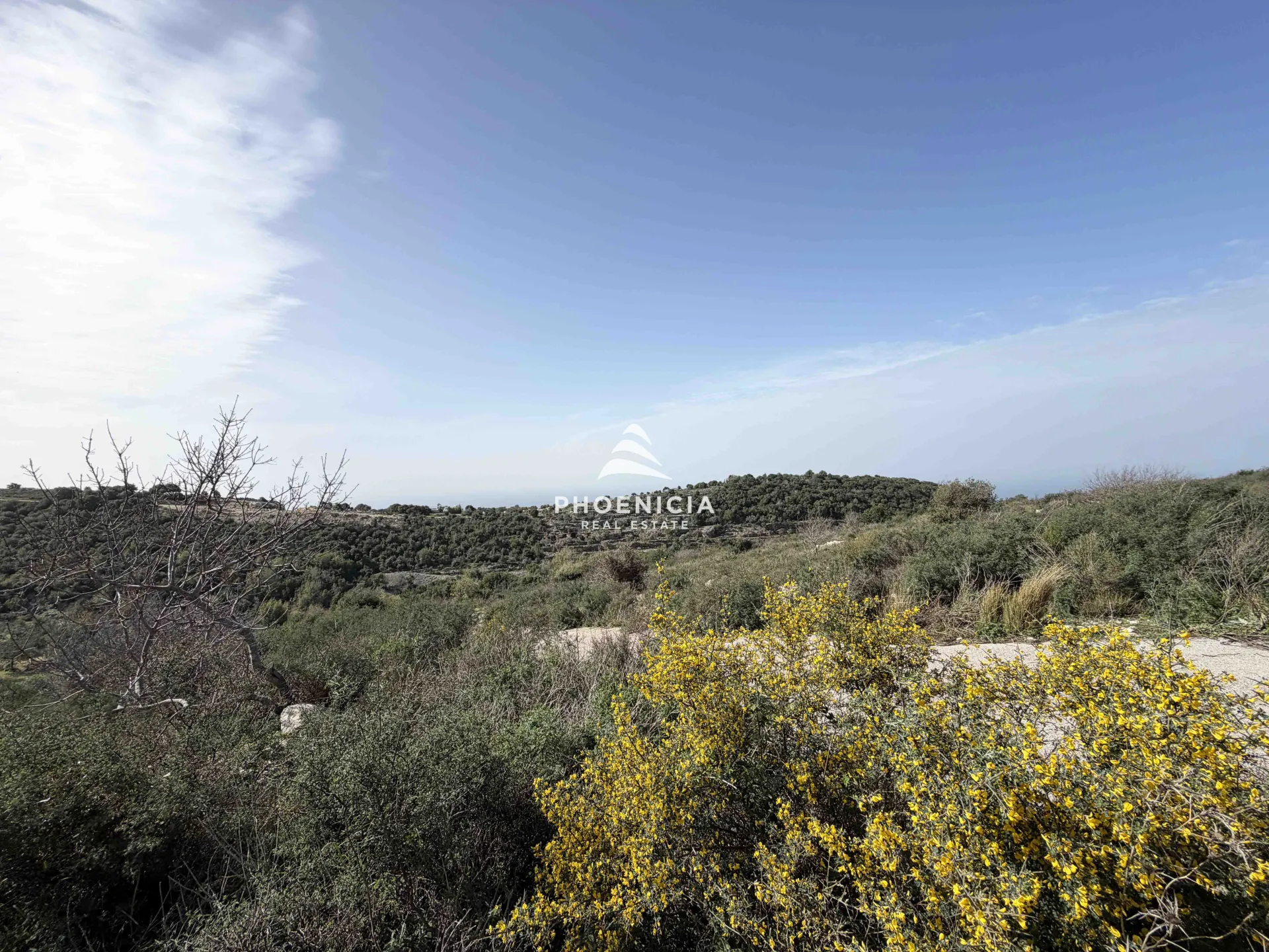 Land for Sale in Gharzouz — الصورة 3