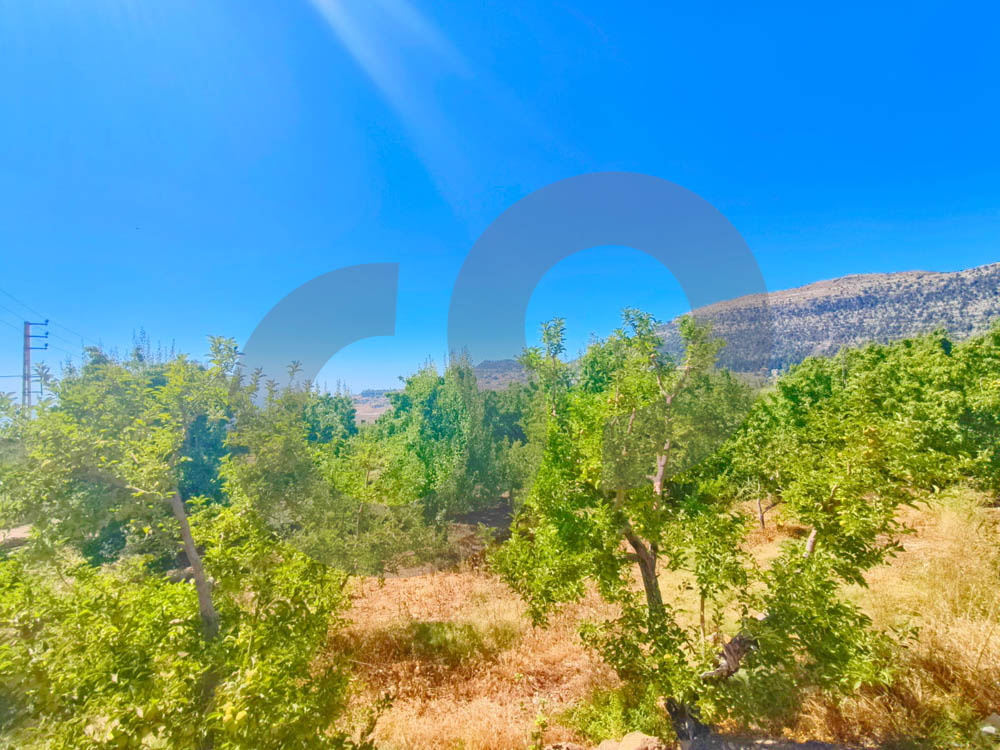 PRIME LOCATION, LAND FOR SALE, EHDEN-ZGHARTA — الصورة 2