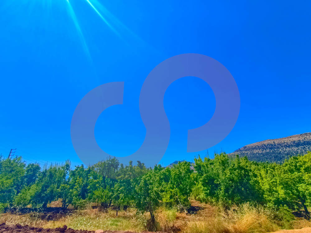 PRIME LOCATION, LAND FOR SALE, EHDEN-ZGHARTA — الصورة 3
