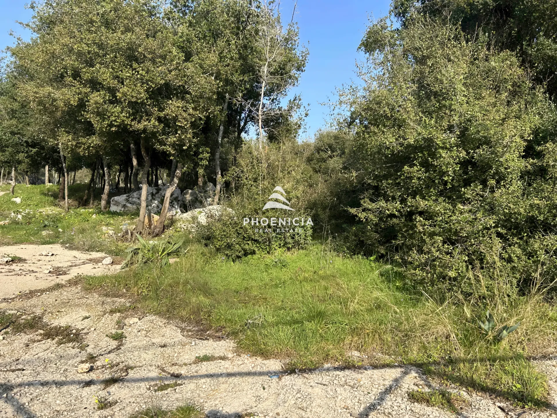 Land for Sale in Bouar, Lebanon — الصورة 5