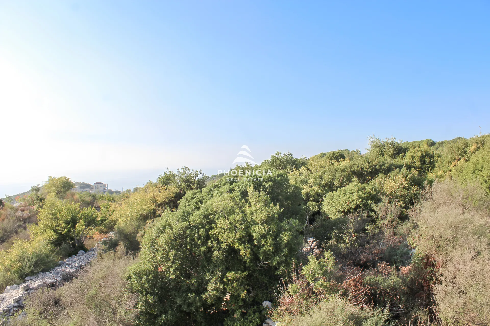 Land for Sale in Gharzouz — الصورة 2