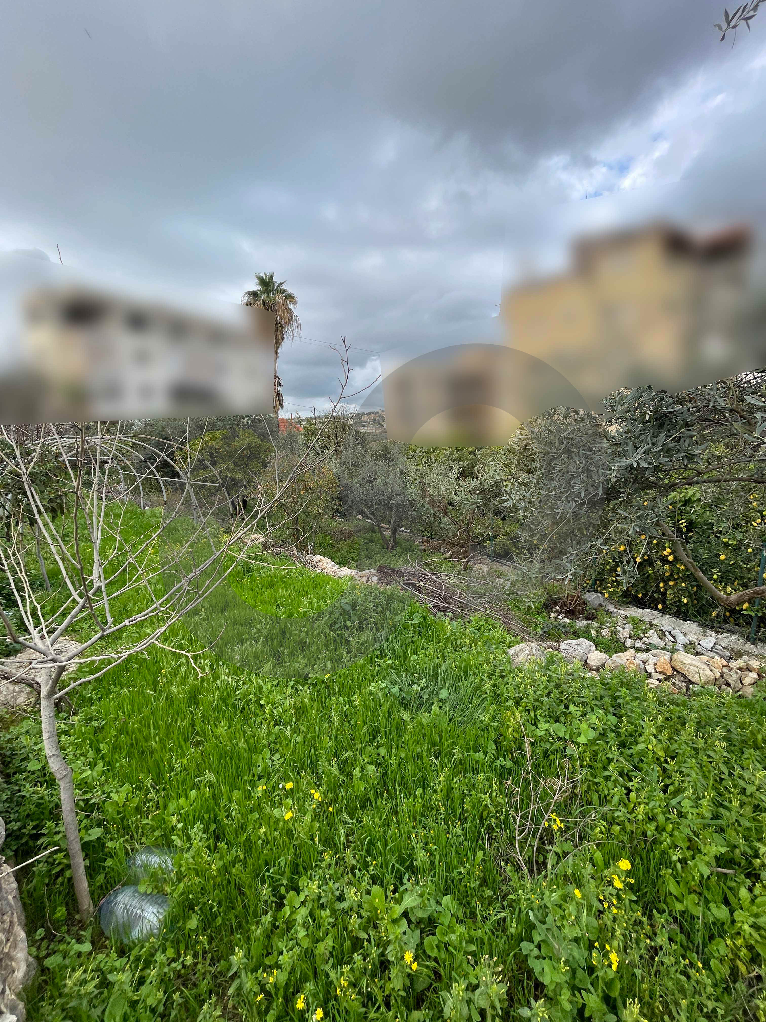 Open Sea View, Great deal, jbeil, Hboub — photo 3