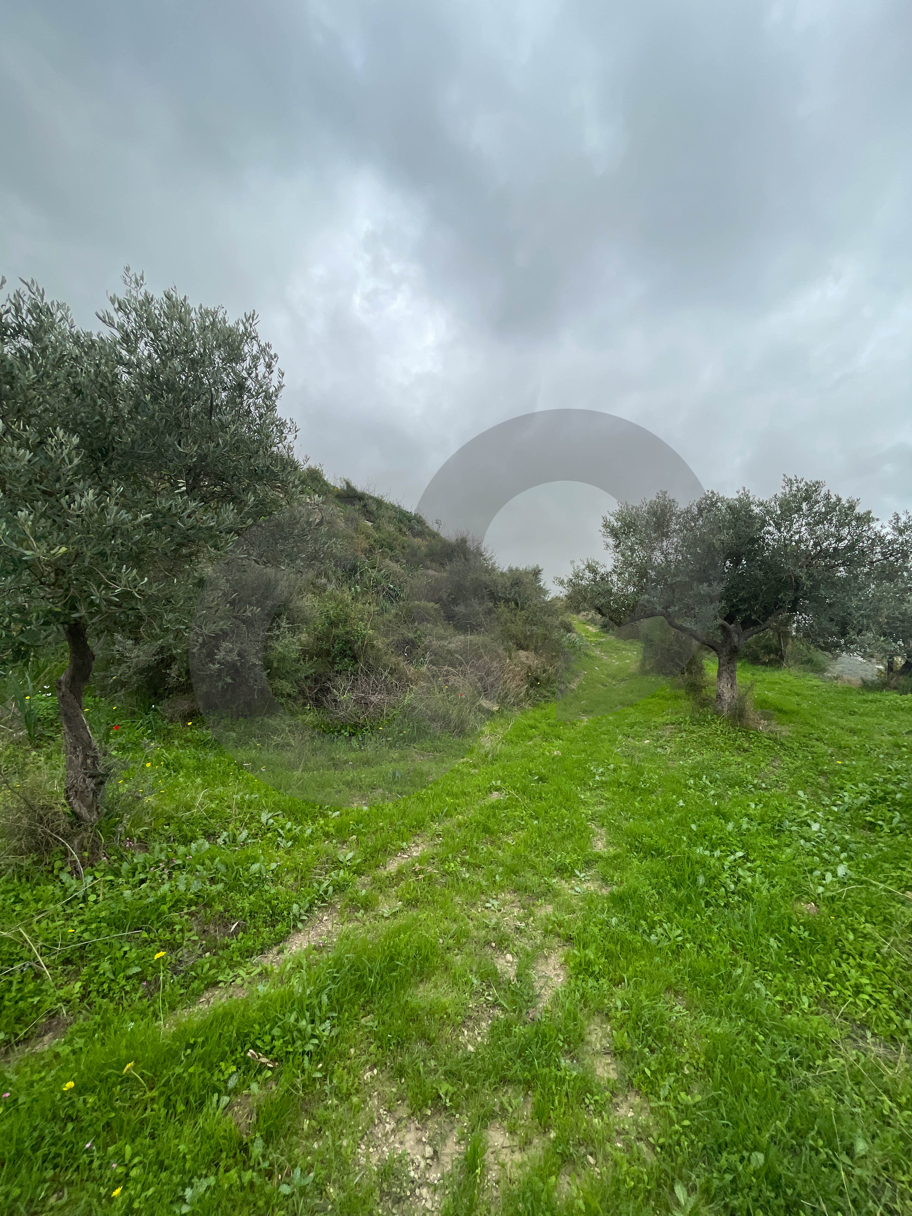 sea View, great deal, prime area, Chekka — الصورة 3