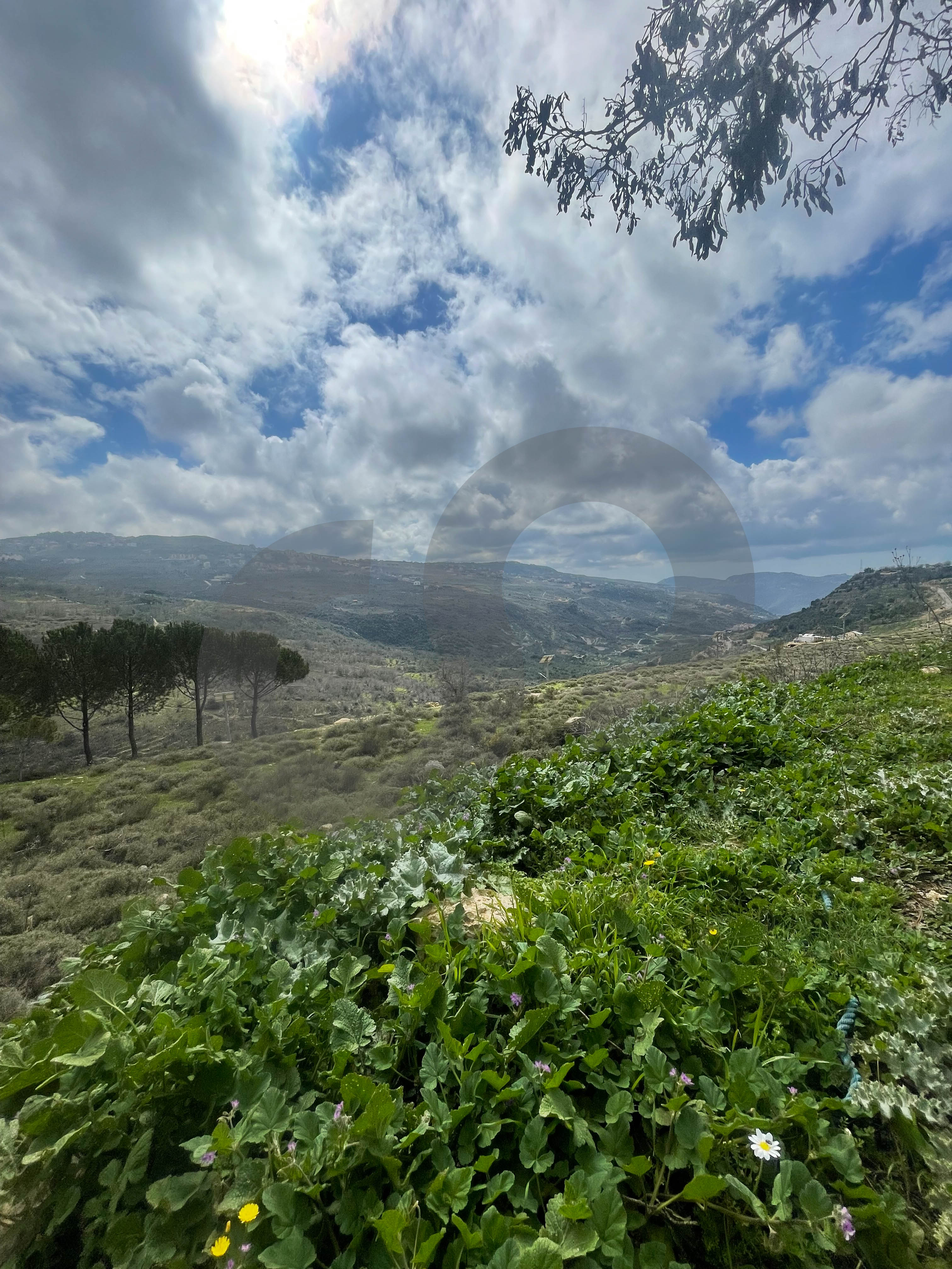 Prime Location,Surrounded by Villas, bhamdoun — الصورة 3